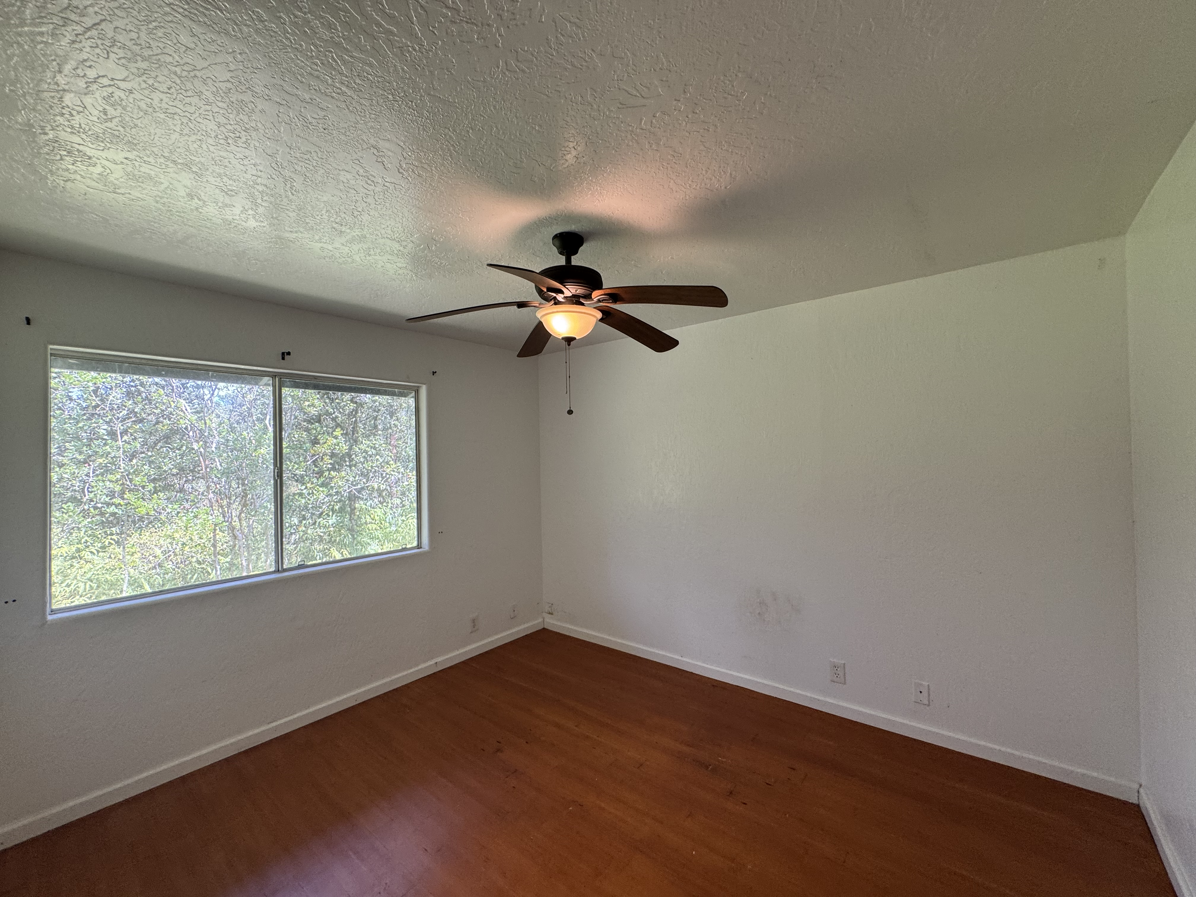 11-3132 Hibiscus St Property Photo 11