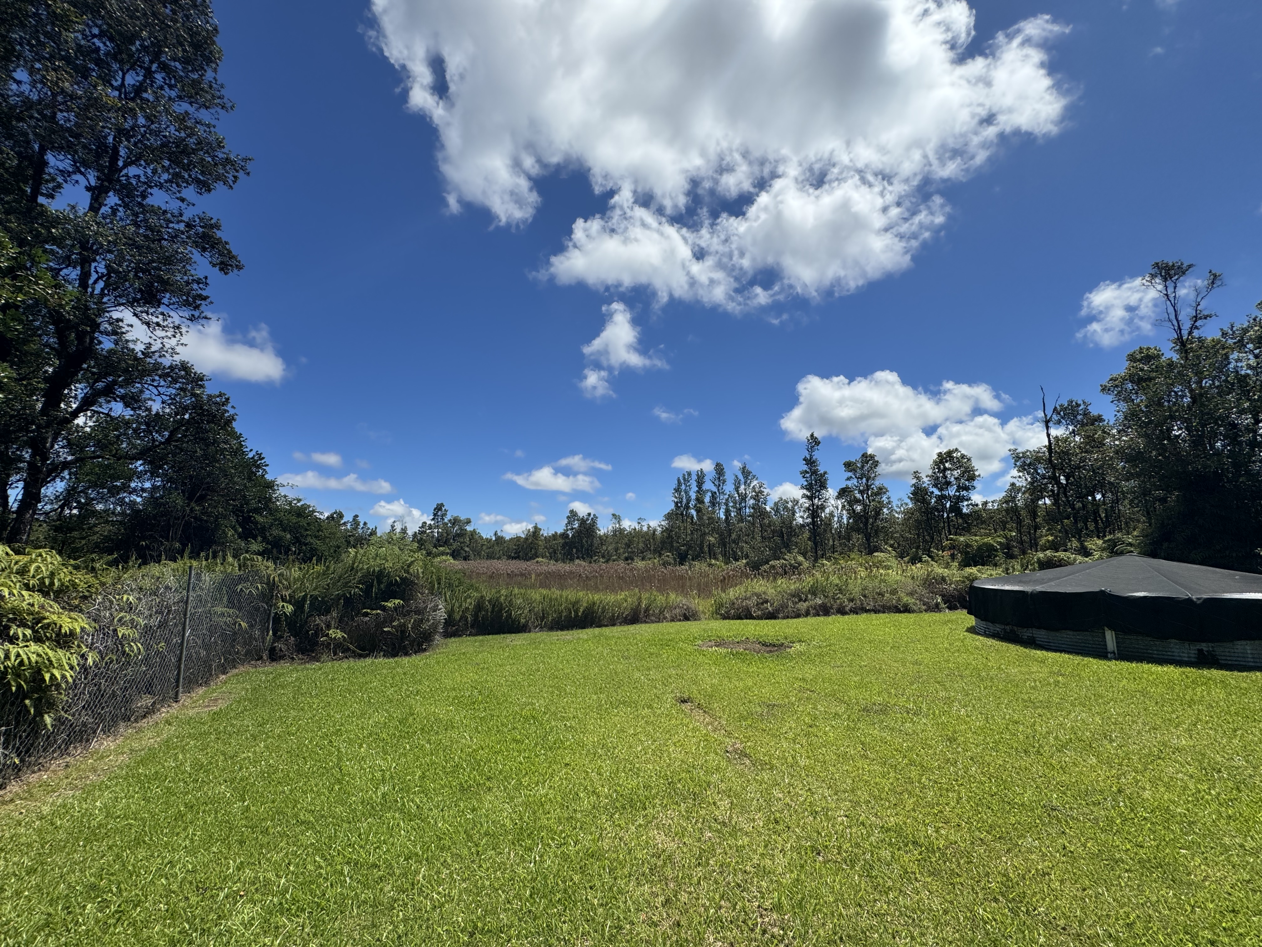 11-3132 Hibiscus St Property Photo 21