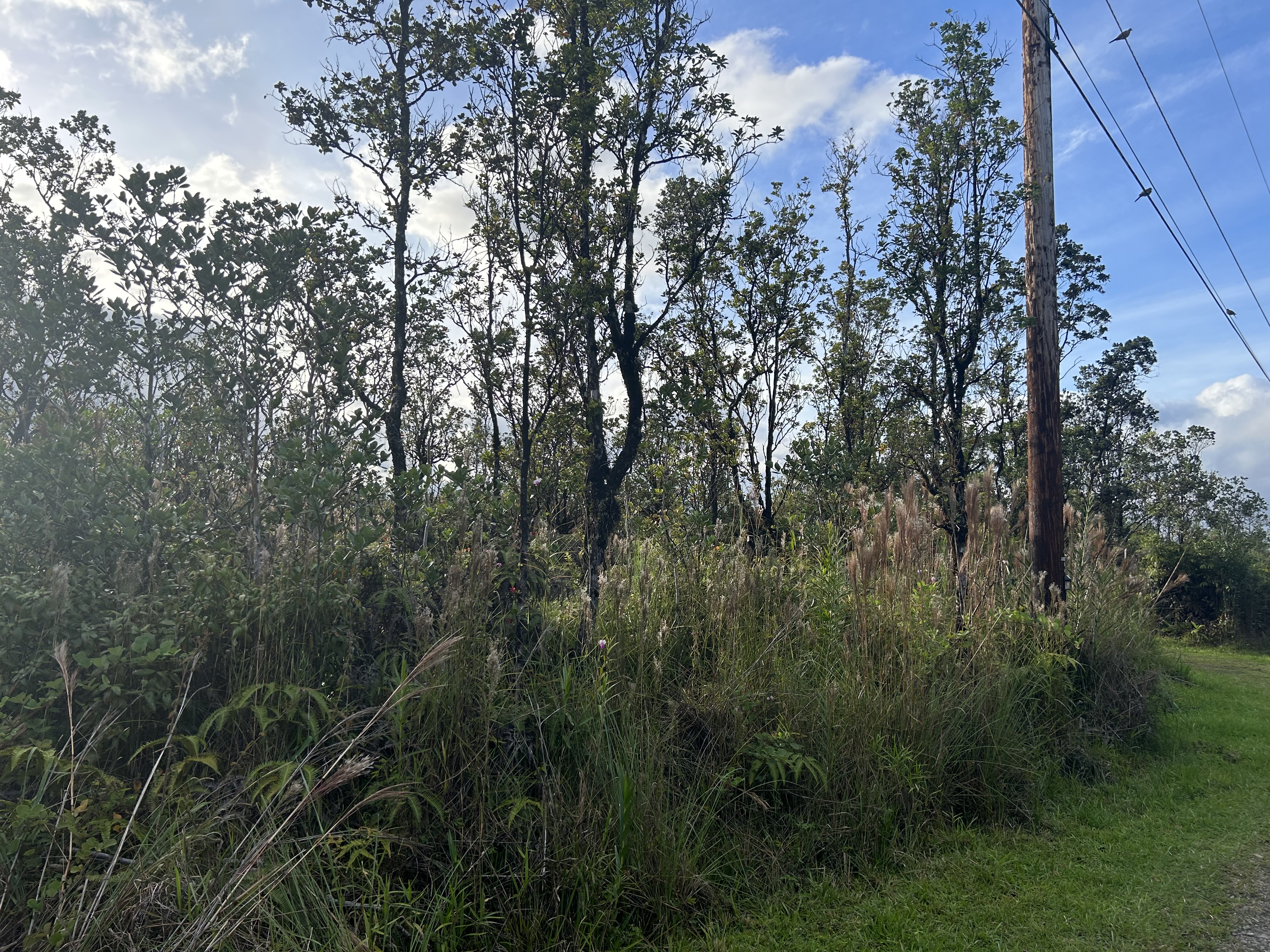 Mailenani Rd Property Photo 1