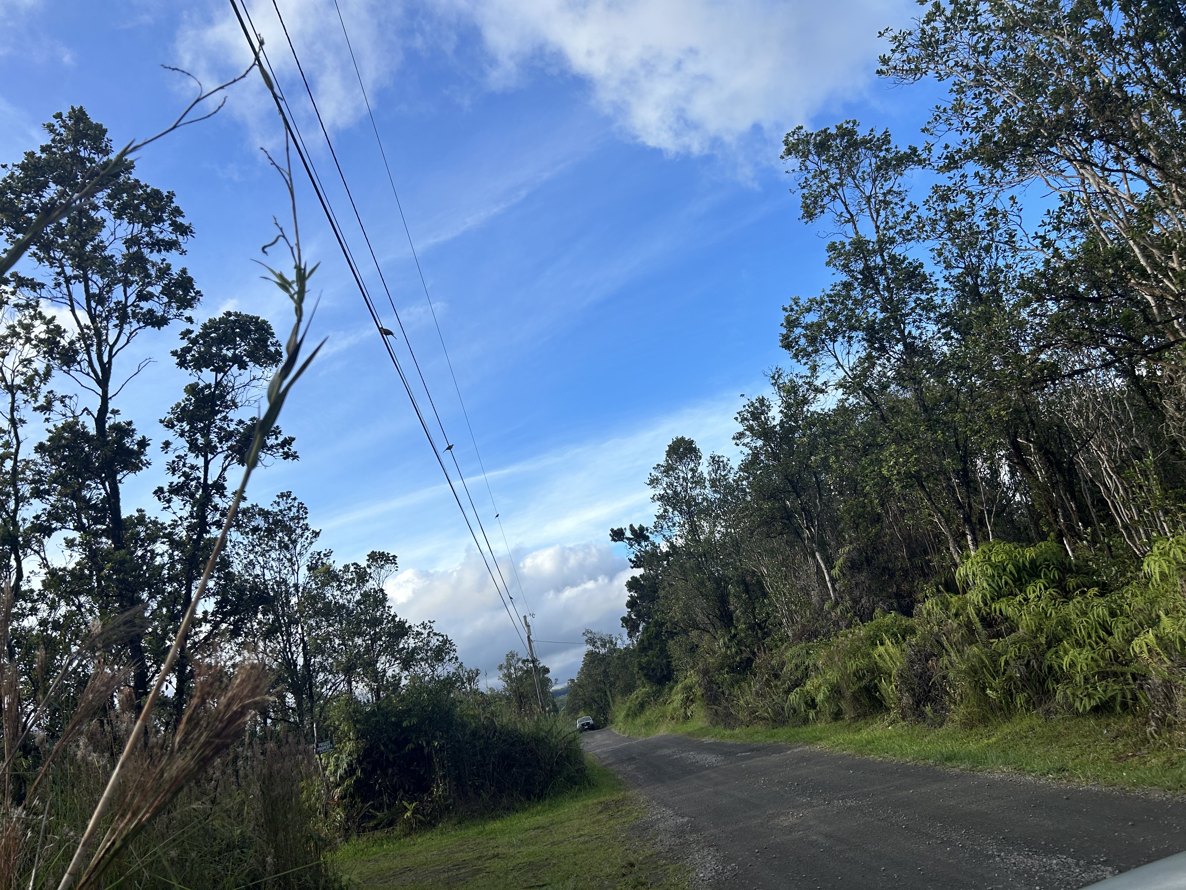 Mailenani Rd Property Photo 3