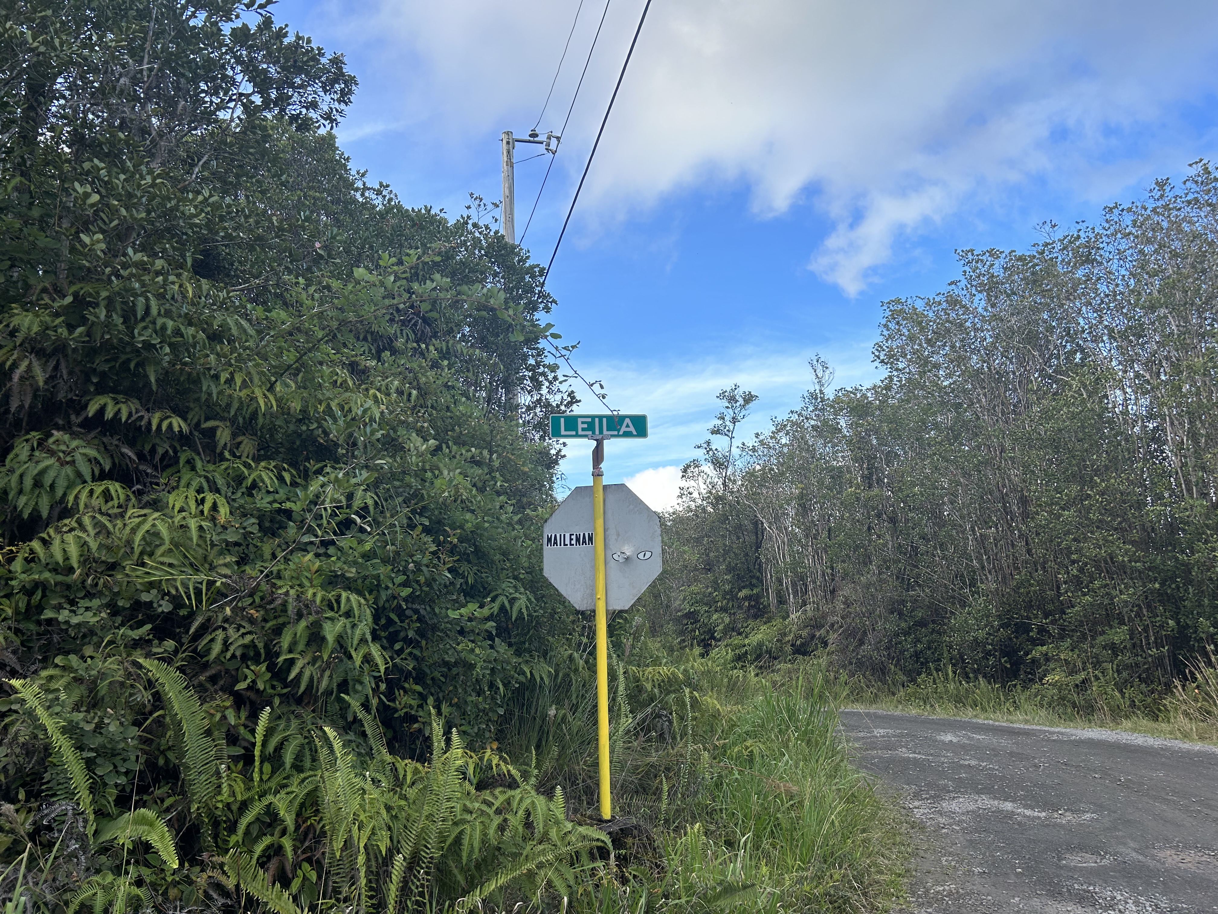 Mailenani Rd Property Photo 5