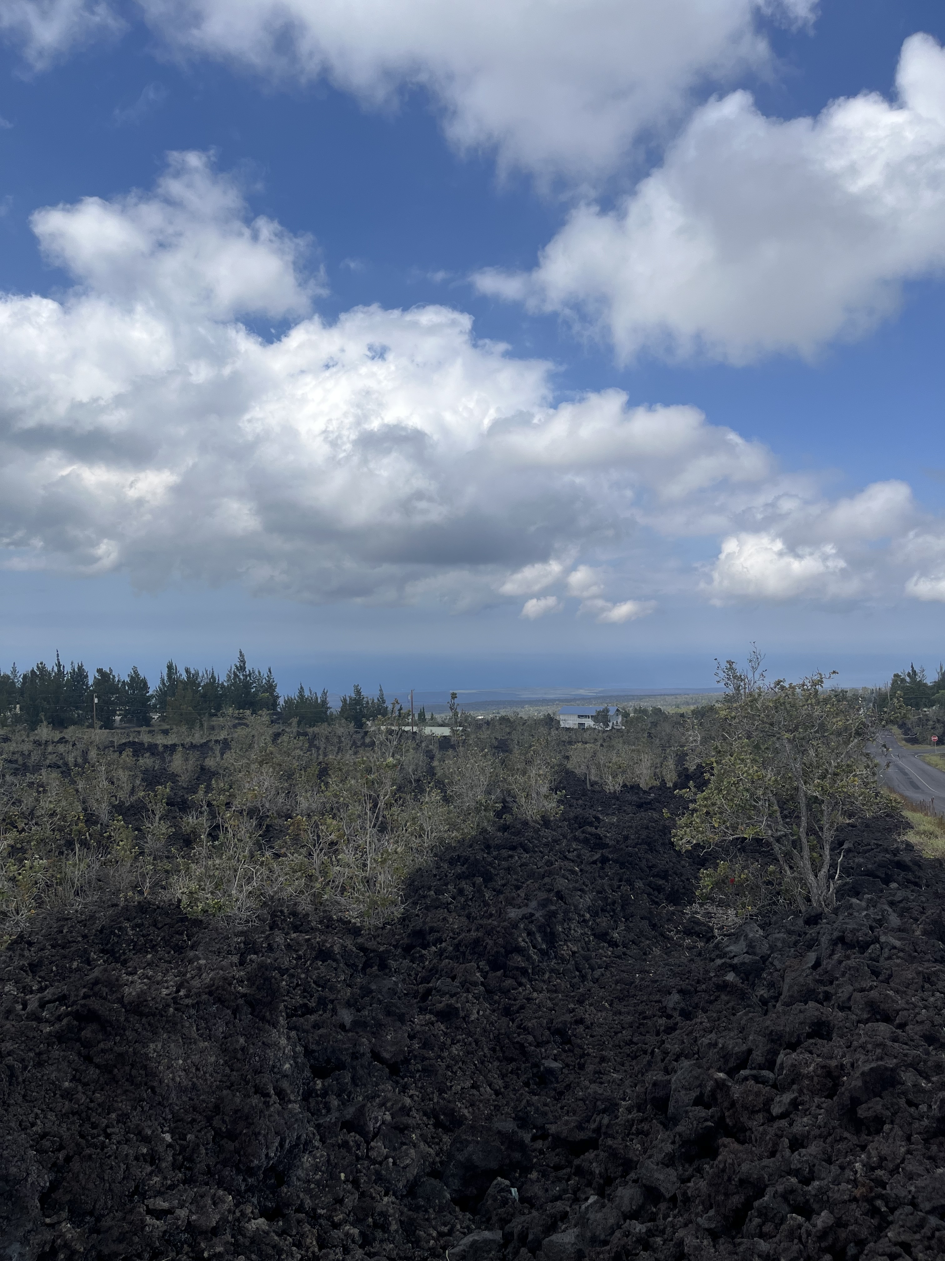 Cocoanut Dr Property Photo 1