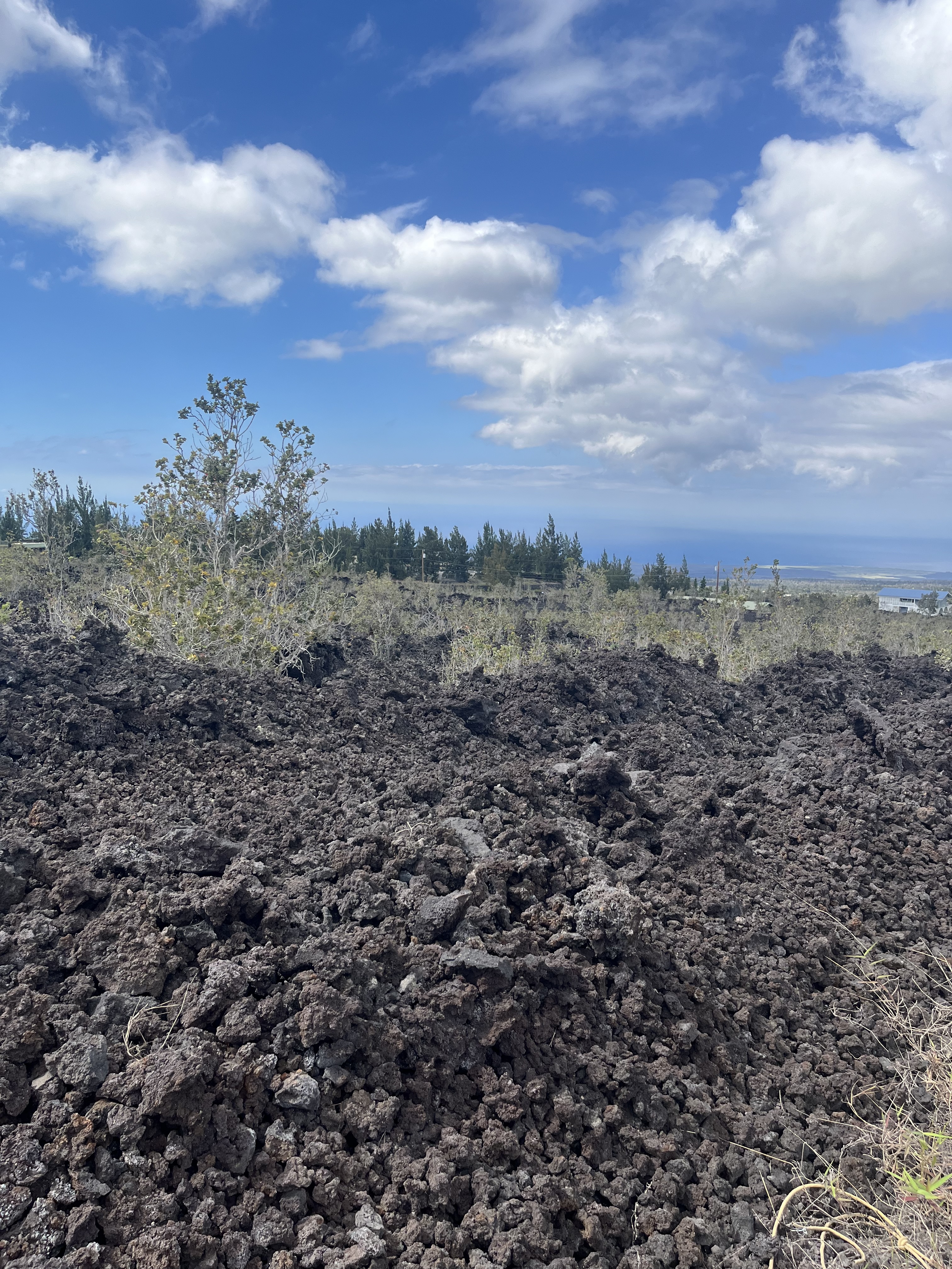 Cocoanut Dr Property Photo 3