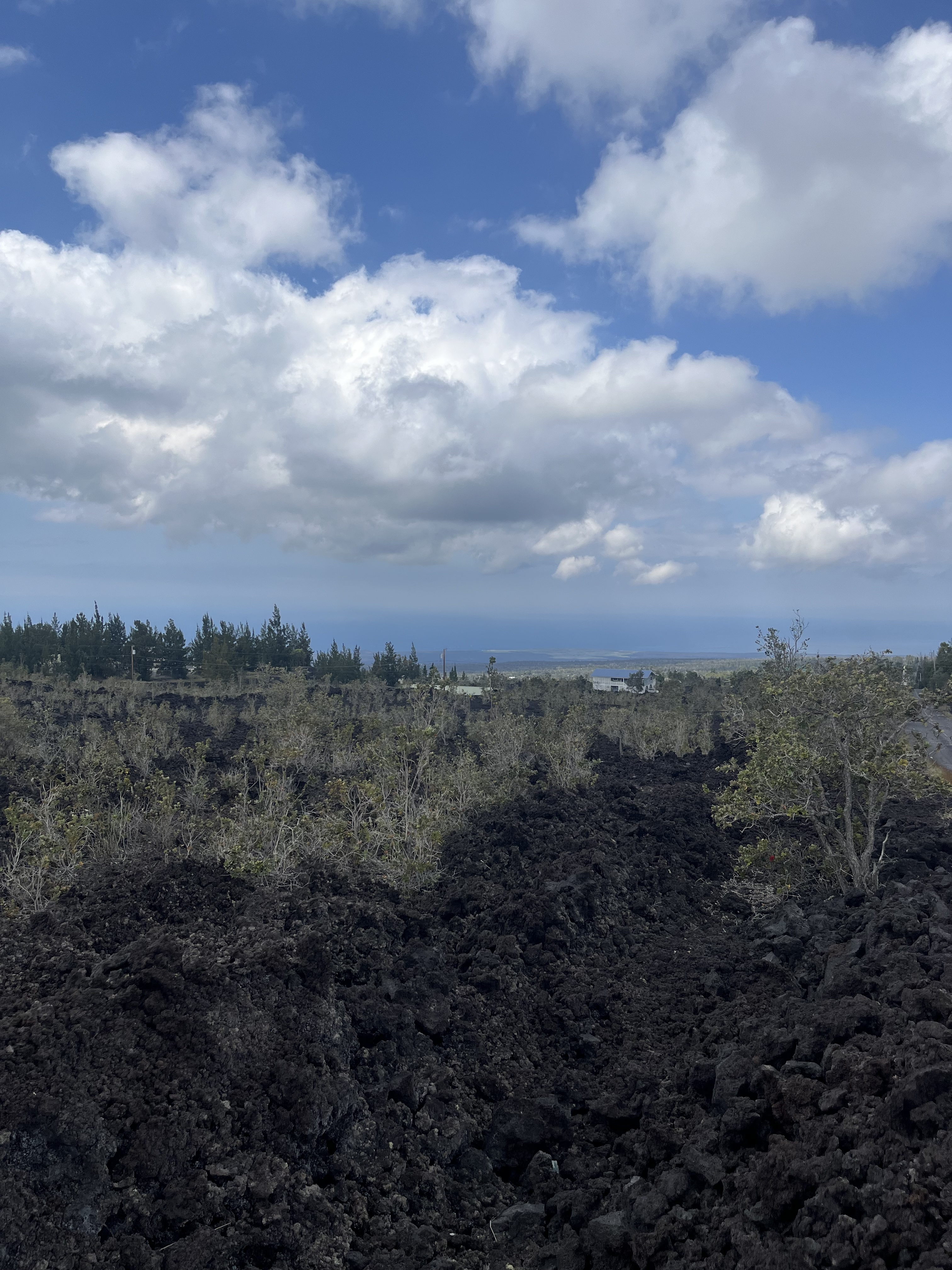 Cocoanut Dr Property Photo 6