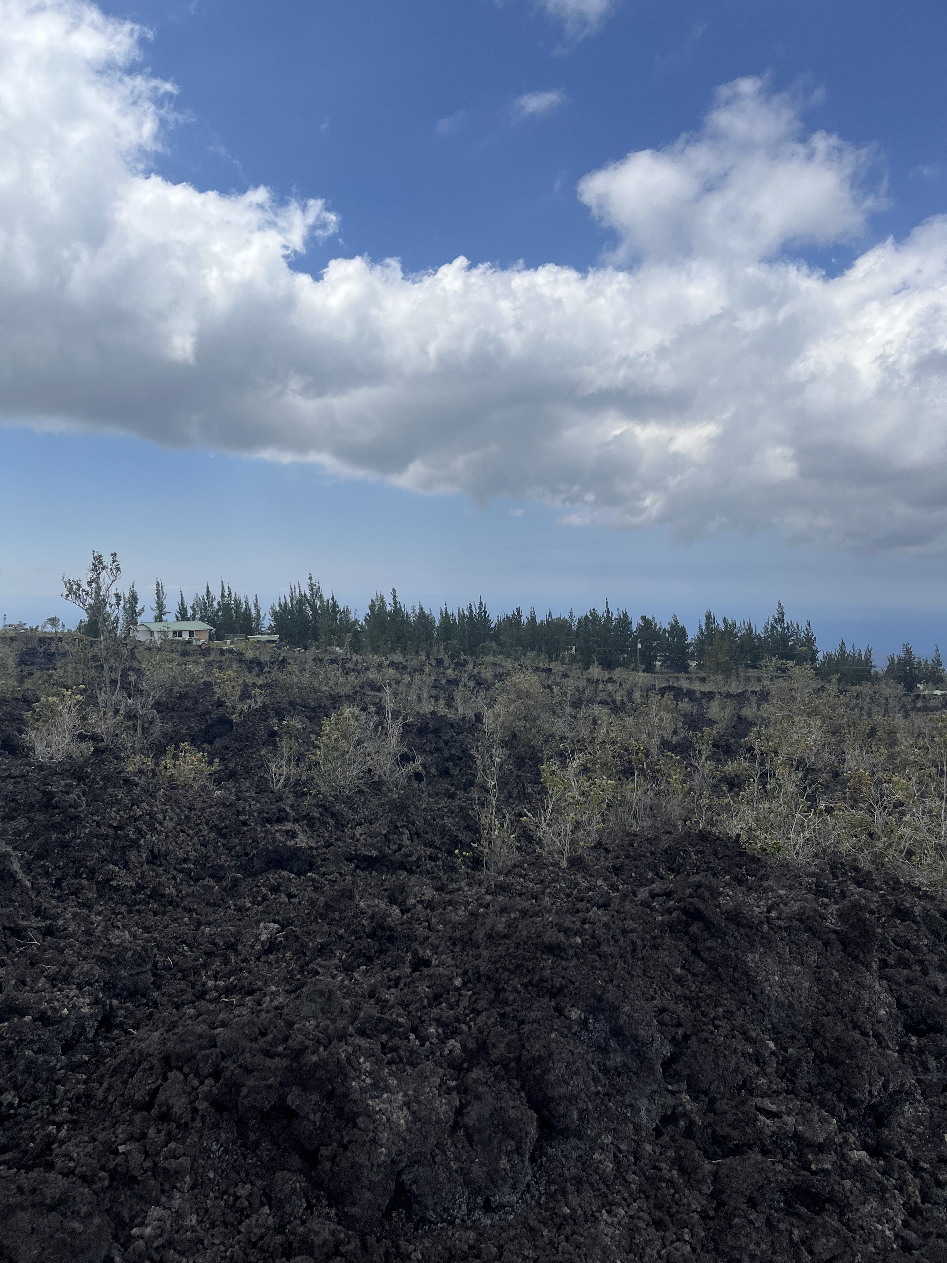 Cocoanut Dr Property Photo 7