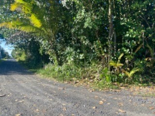 15-1144 Amau Rd Property Photo 1