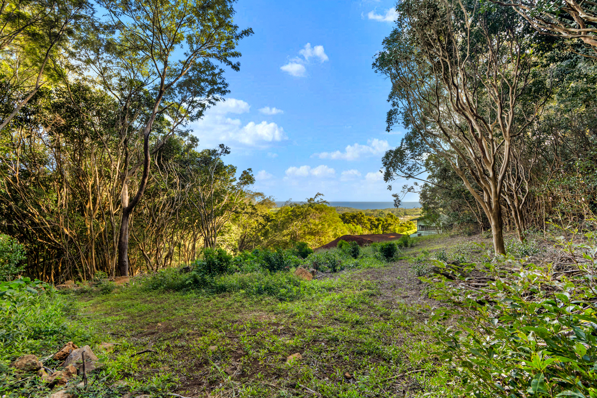 4650 Uha Rd Property Photo 14