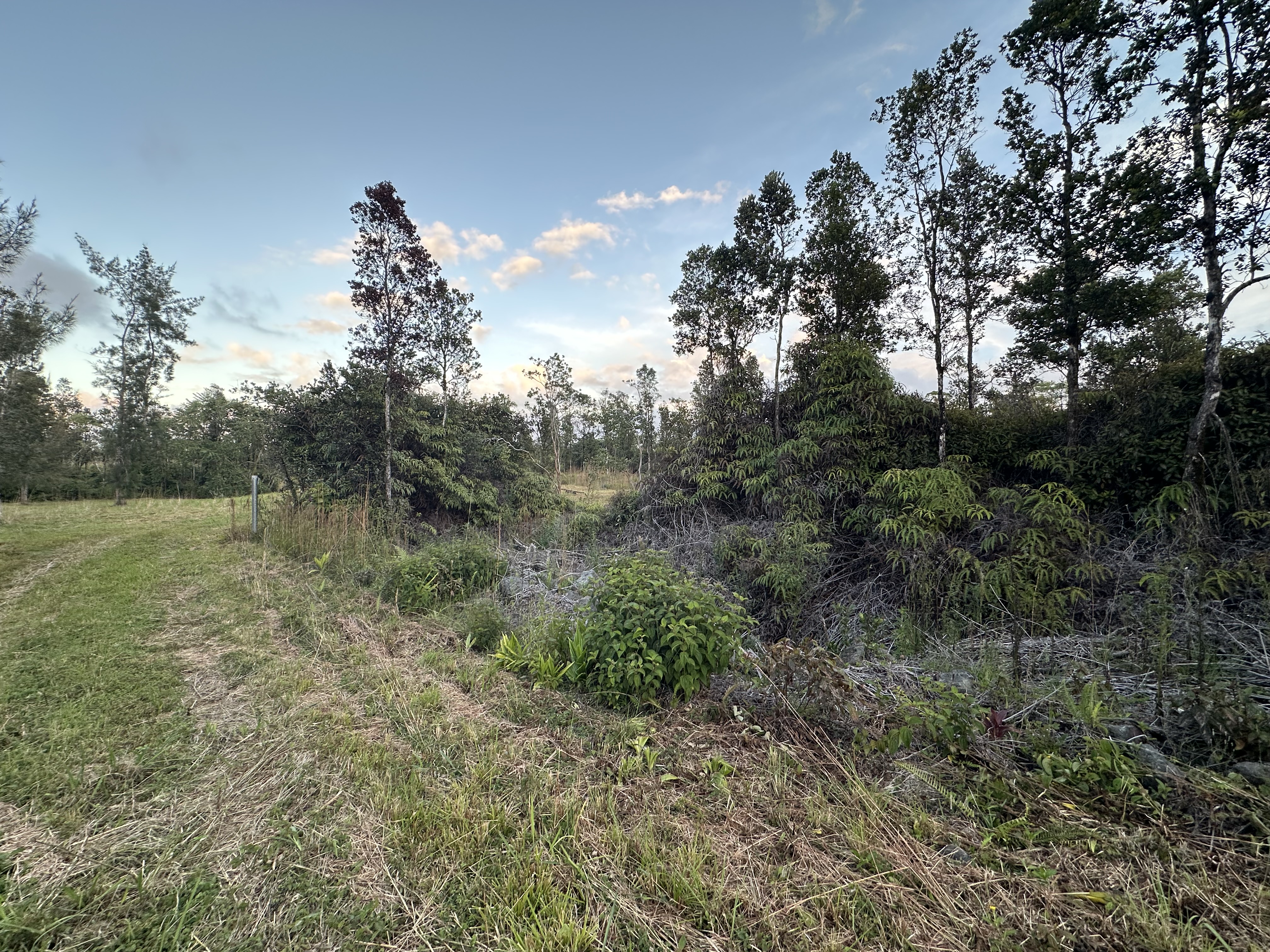 Road 2 (ao) Property Photo 2