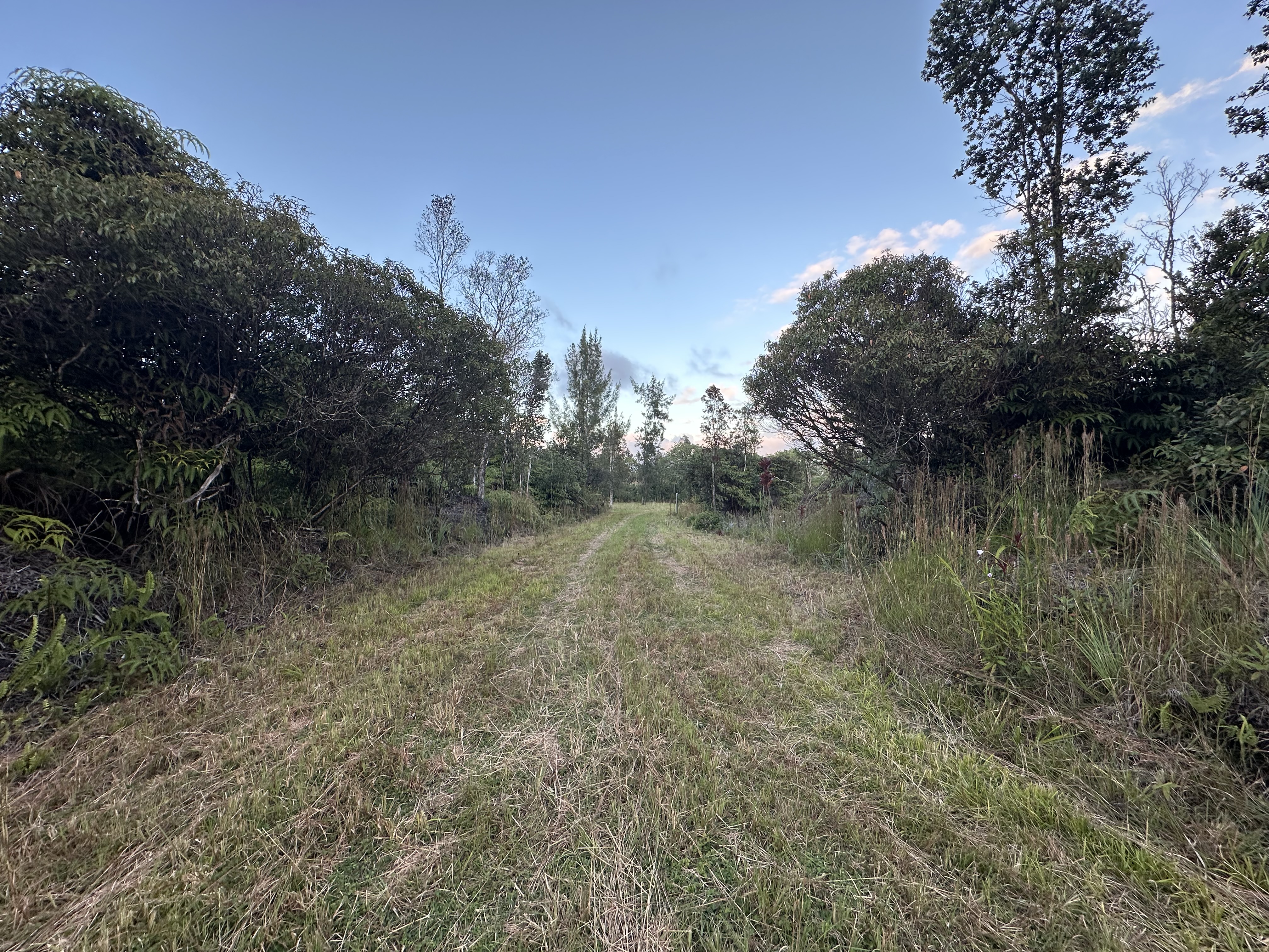 Road 2 (ao) Property Photo 3