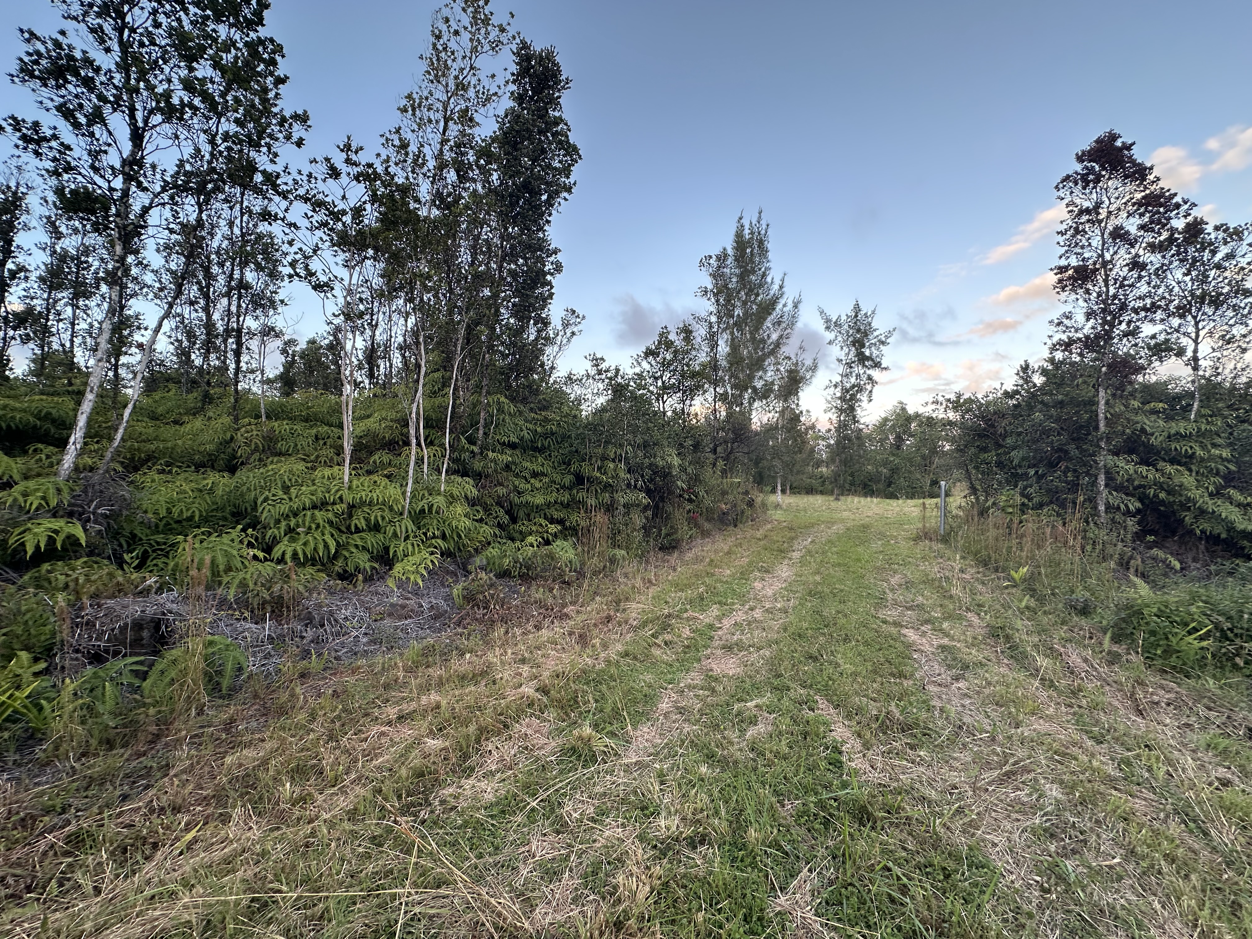 Road 2 (ao) Property Photo 4