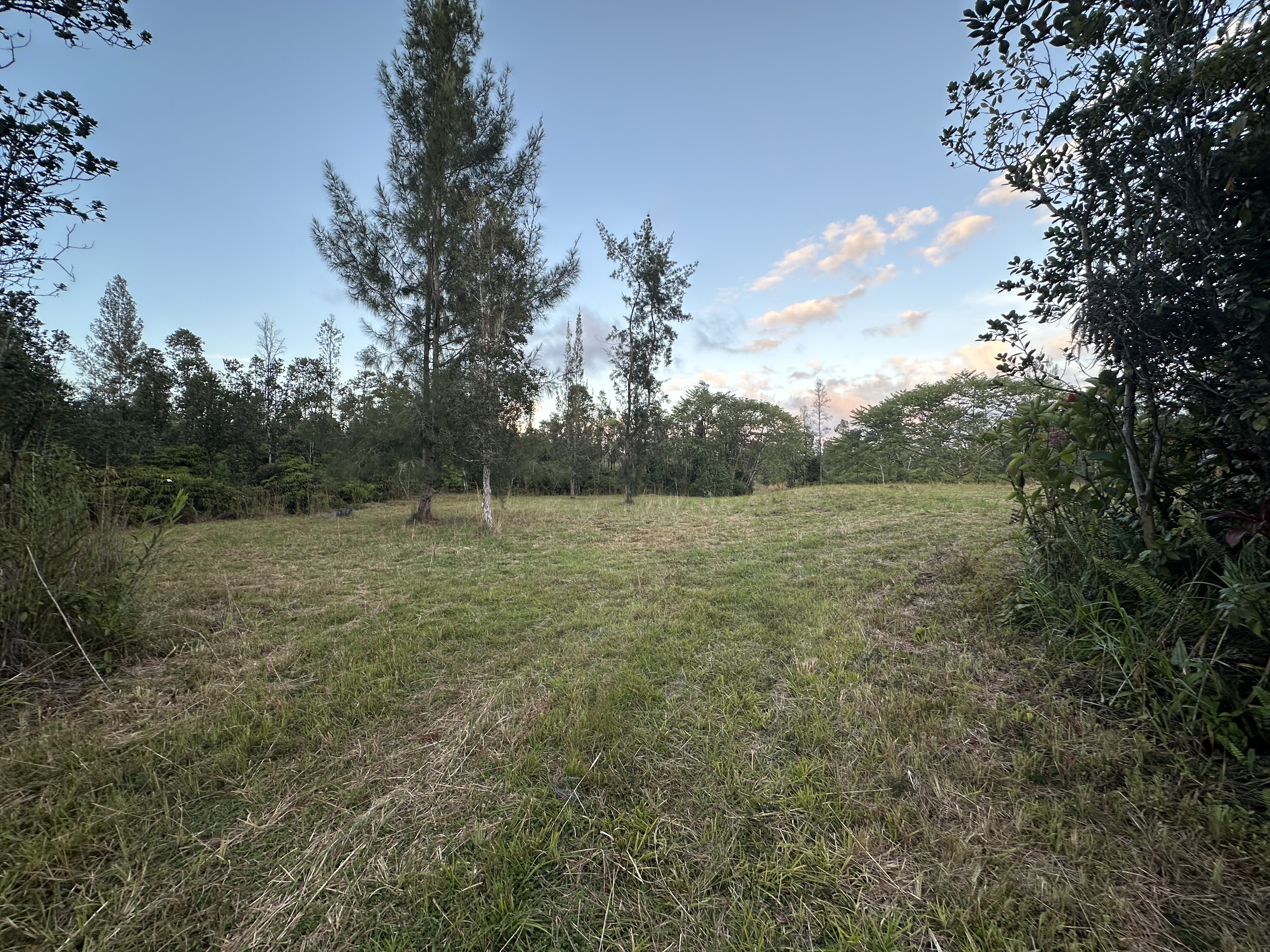 Road 2 (ao) Property Photo 5
