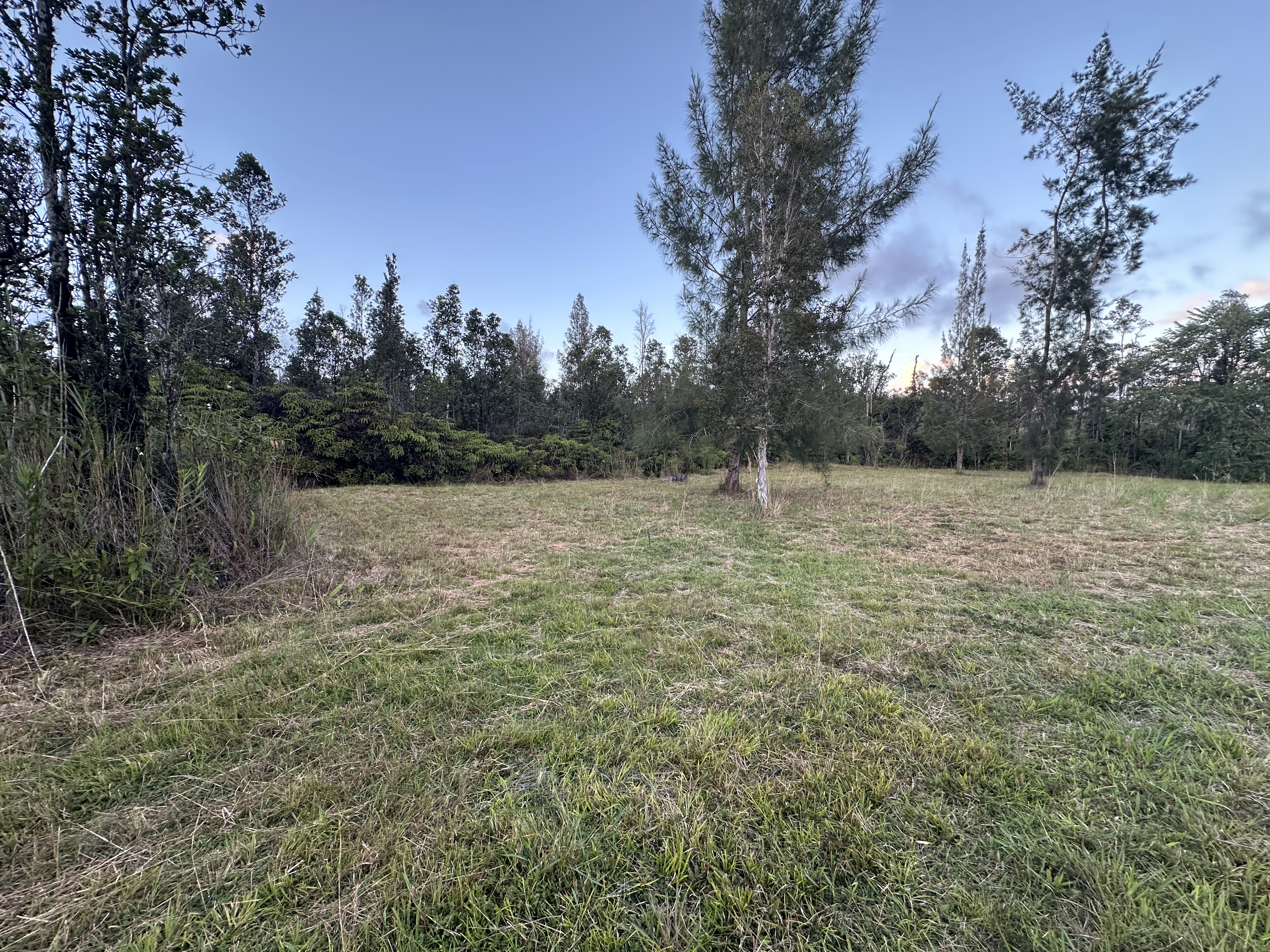 Road 2 (ao) Property Photo 6