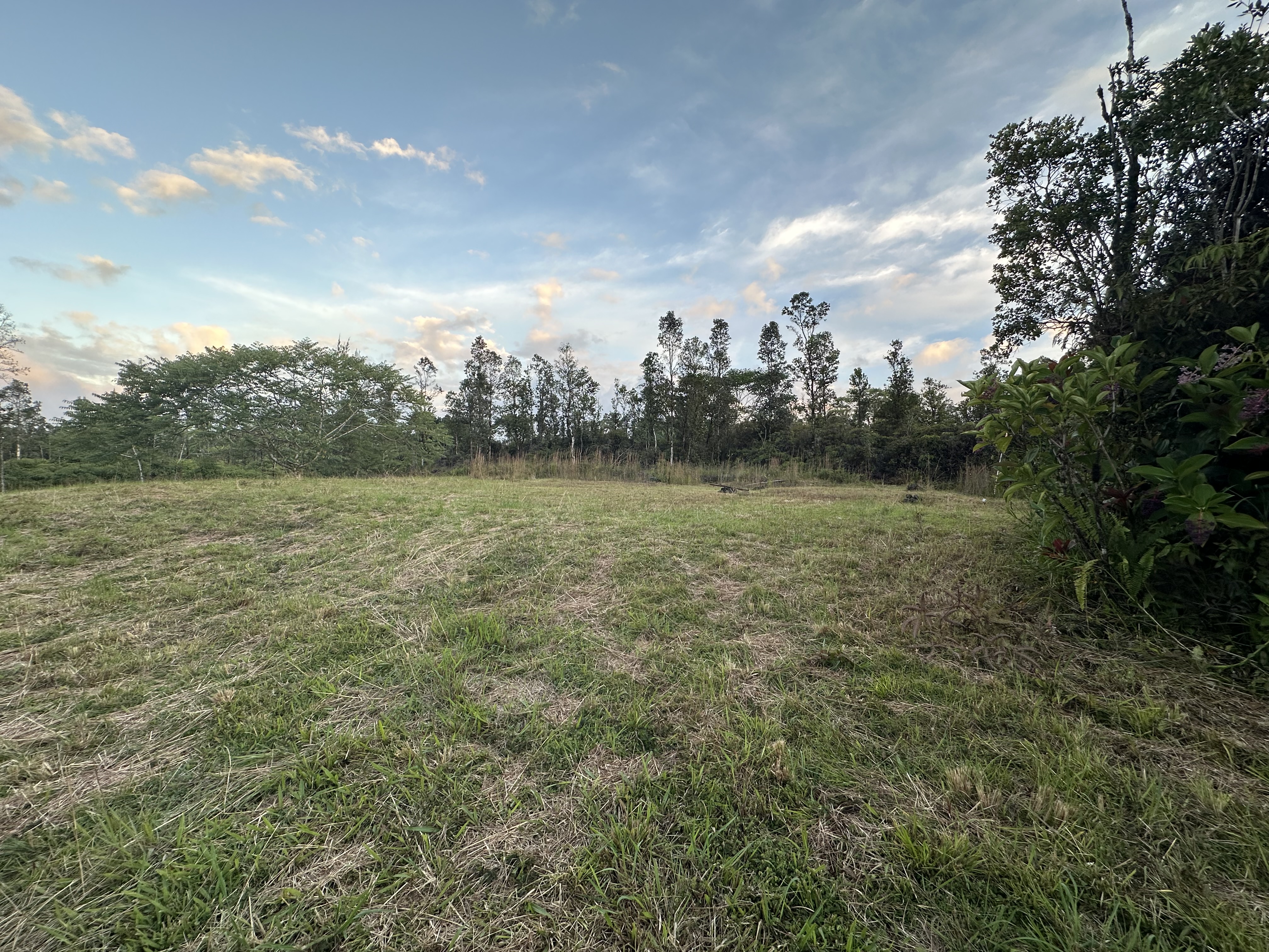 Road 2 (ao) Property Photo 7