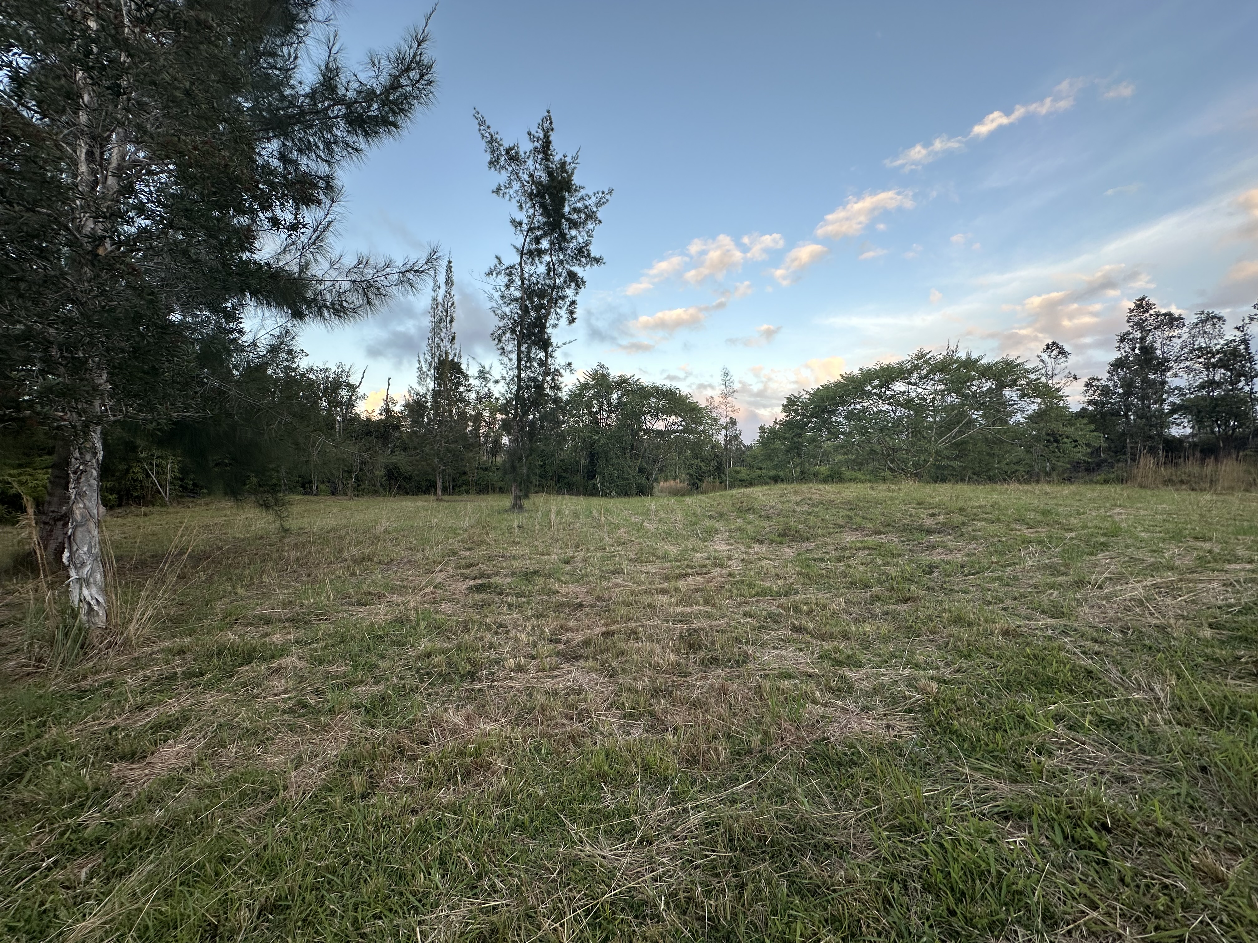 Road 2 (ao) Property Photo 9