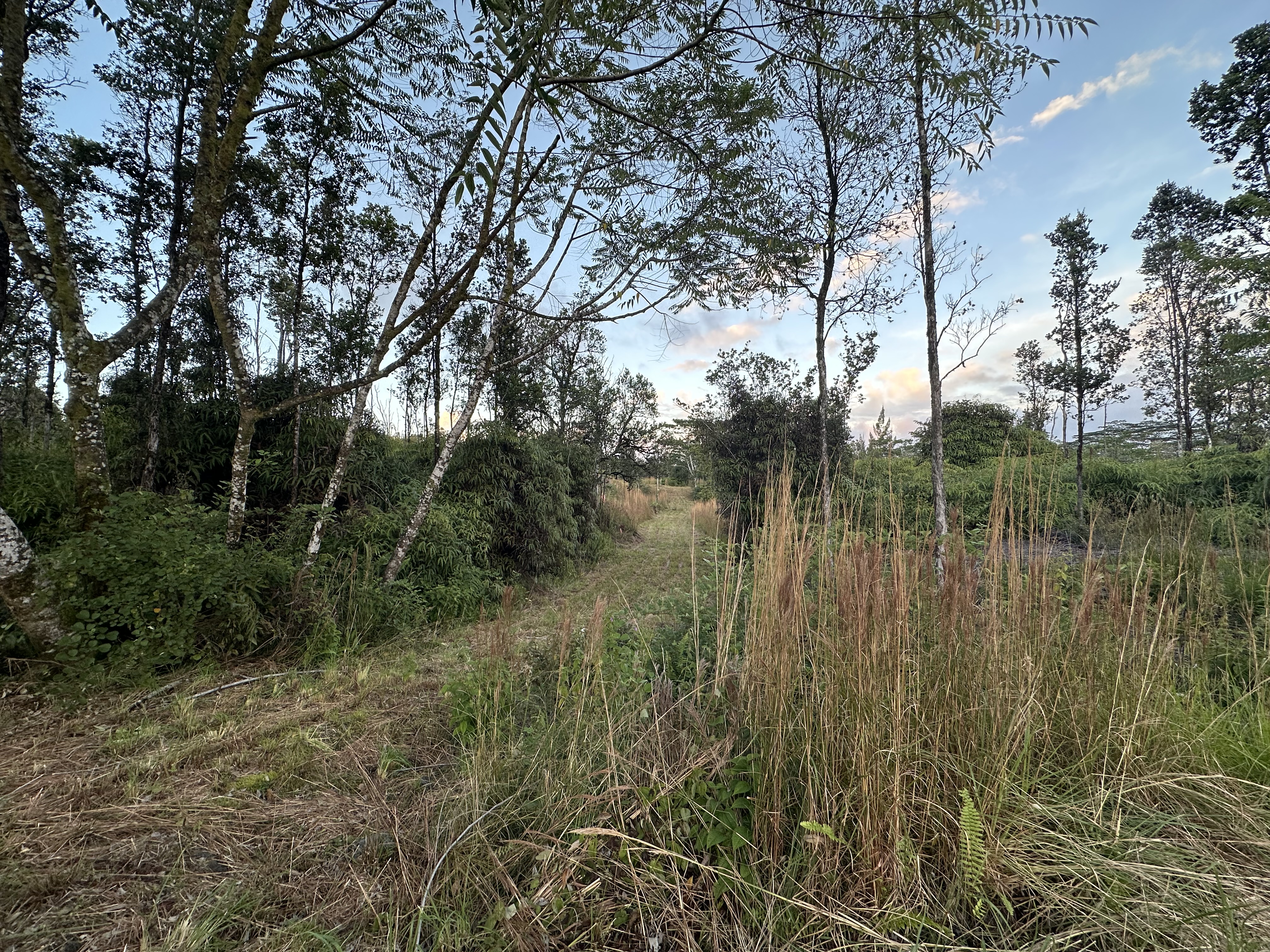 Road 2 (ao) Property Photo 10