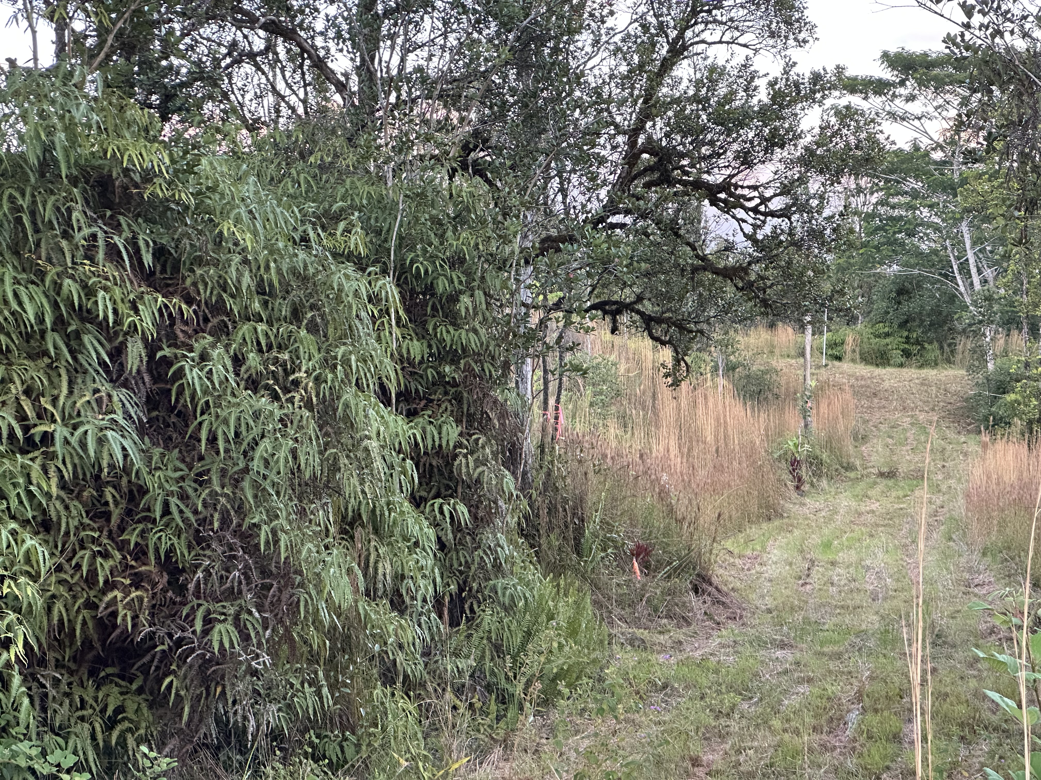 Road 2 (ao) Property Photo 11