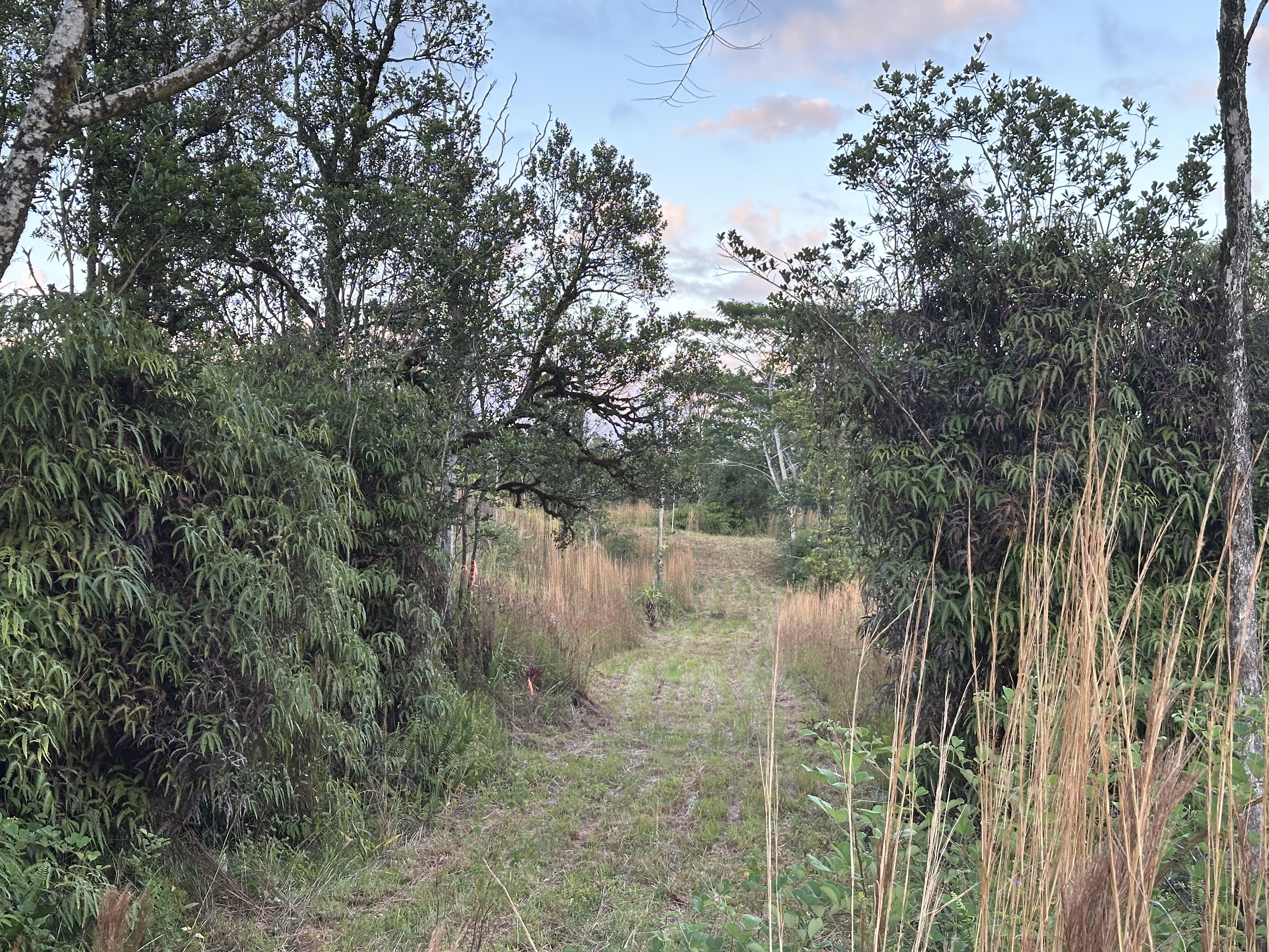 Road 2 (ao) Property Photo 12
