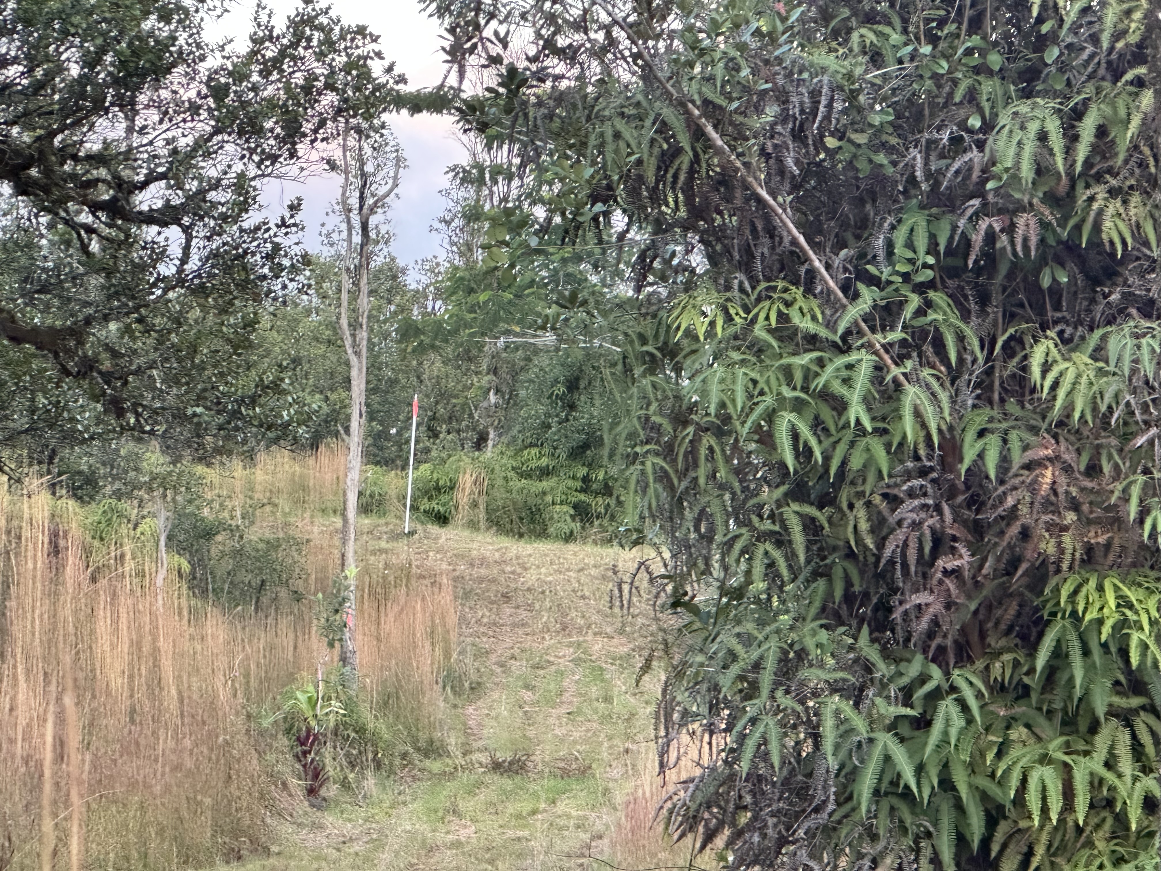 Road 2 (ao) Property Photo 13