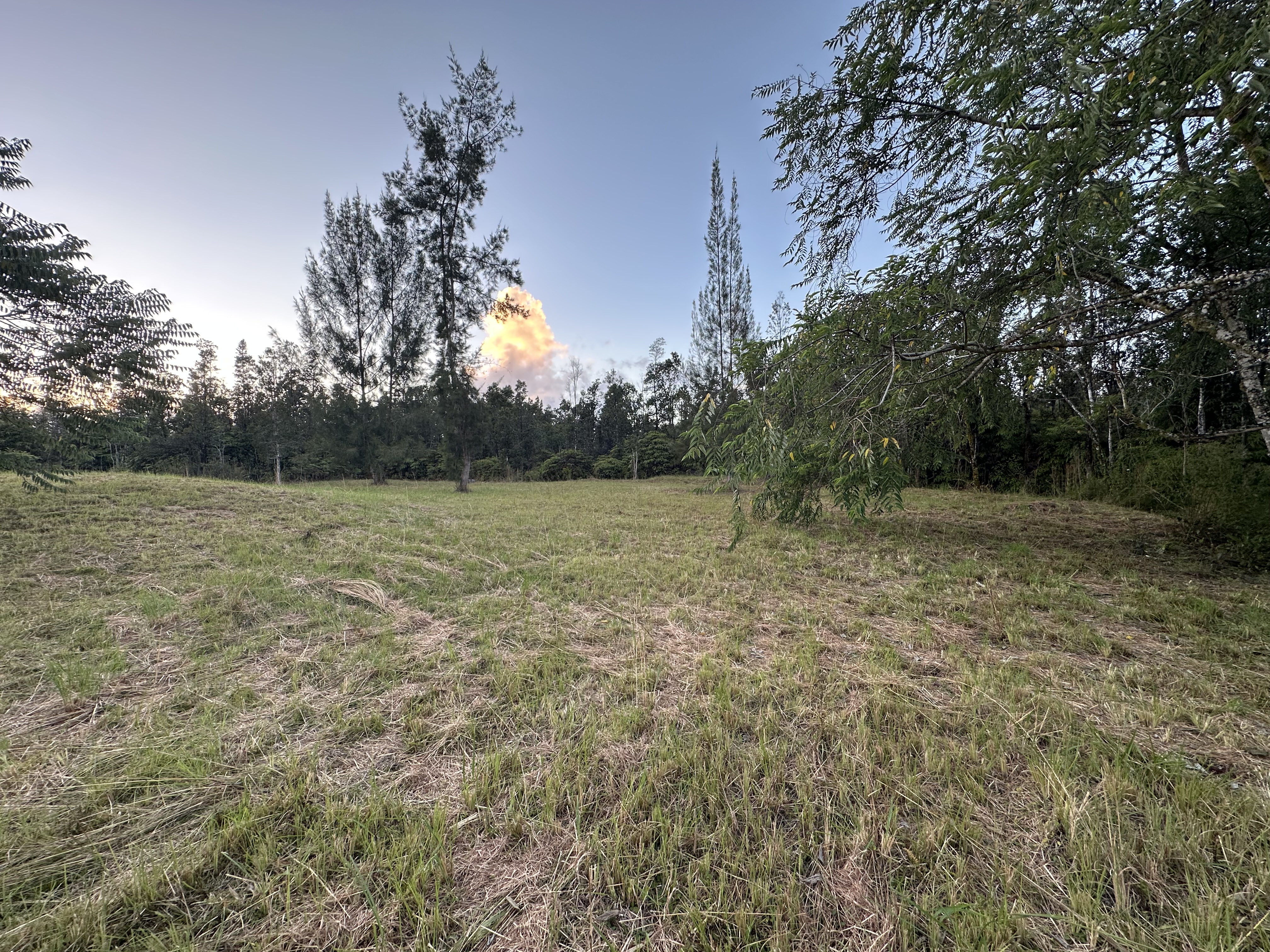 Road 2 (ao) Property Photo 14