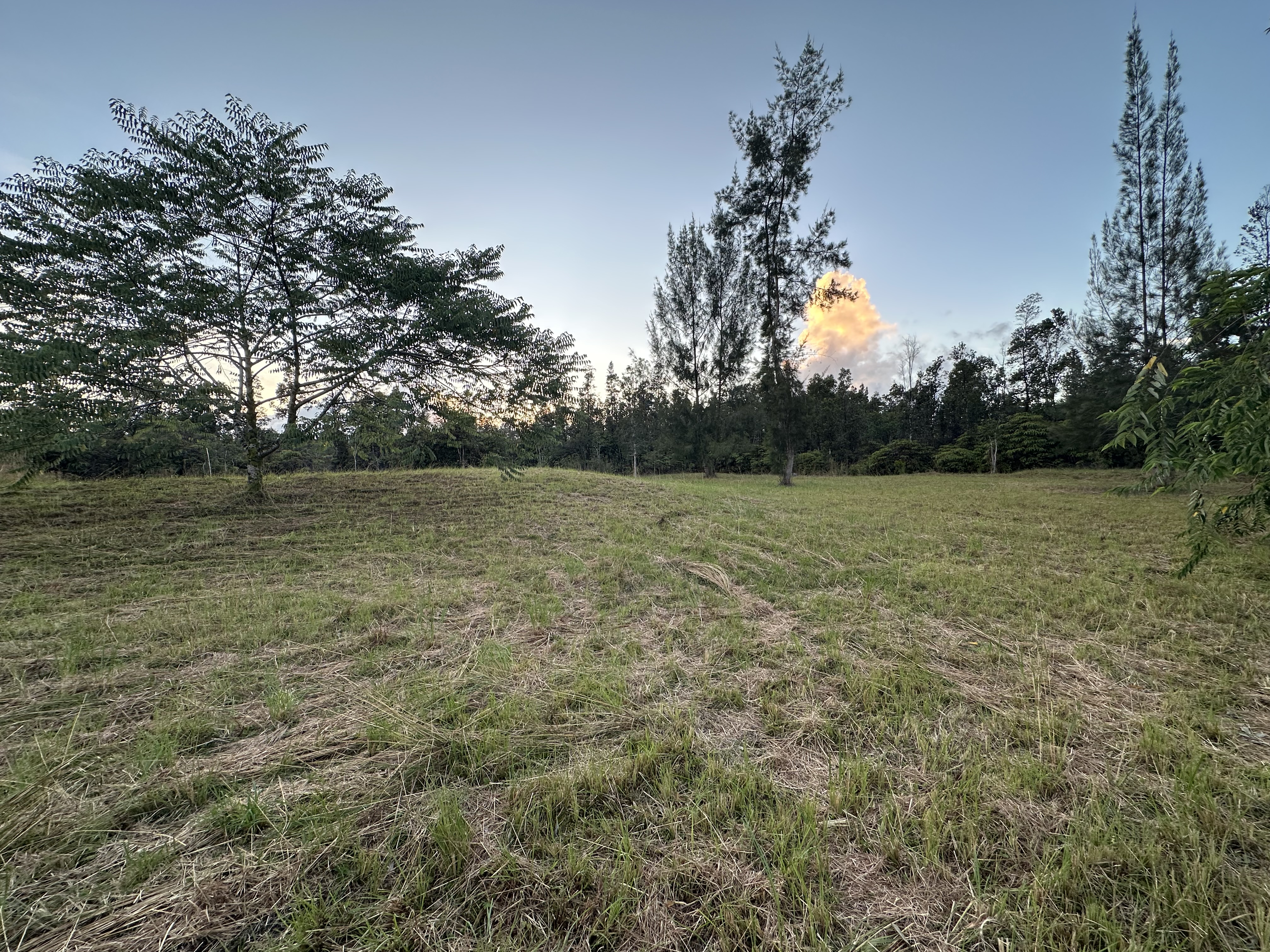 Road 2 (ao) Property Photo 15