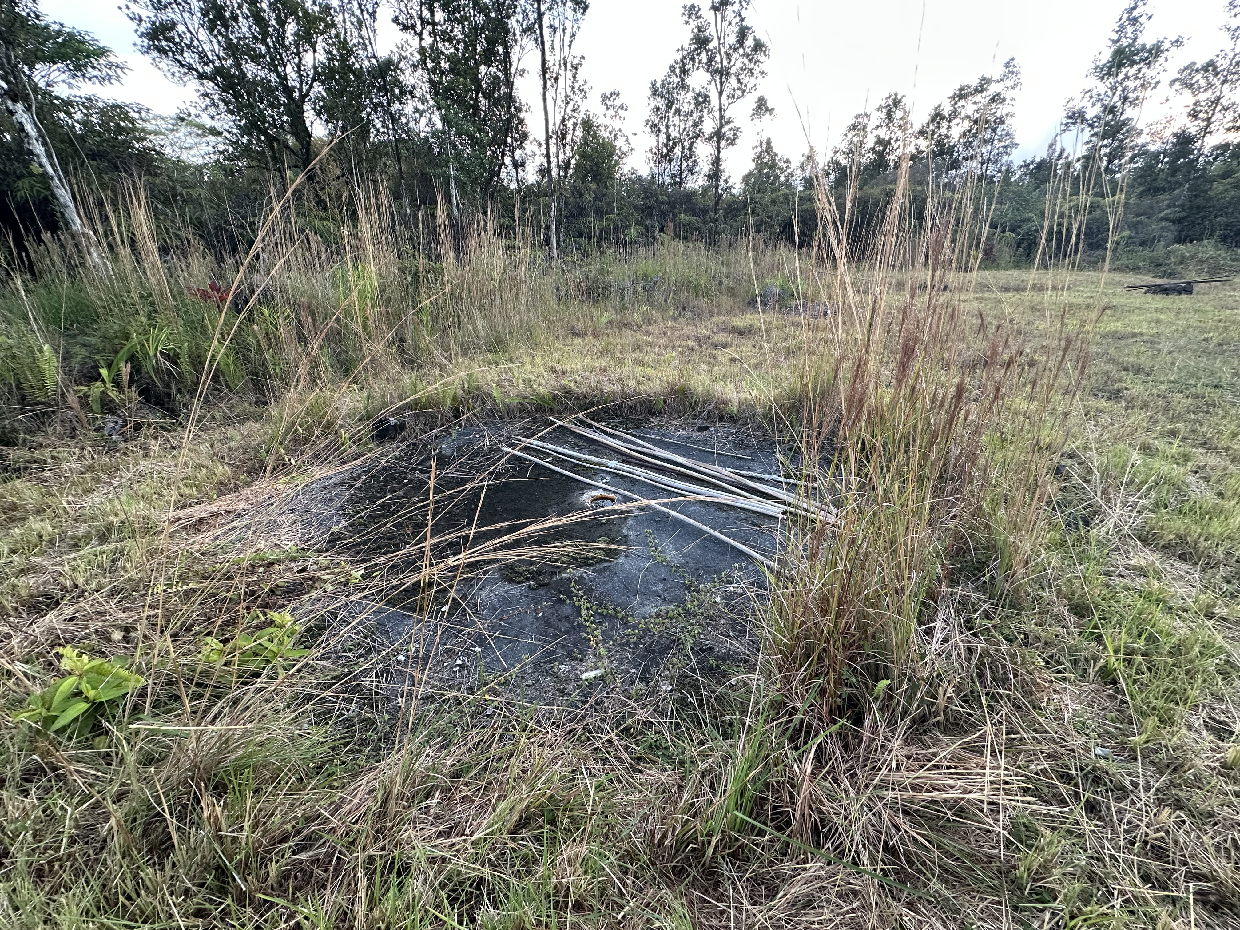 Road 2 (ao) Property Photo 17