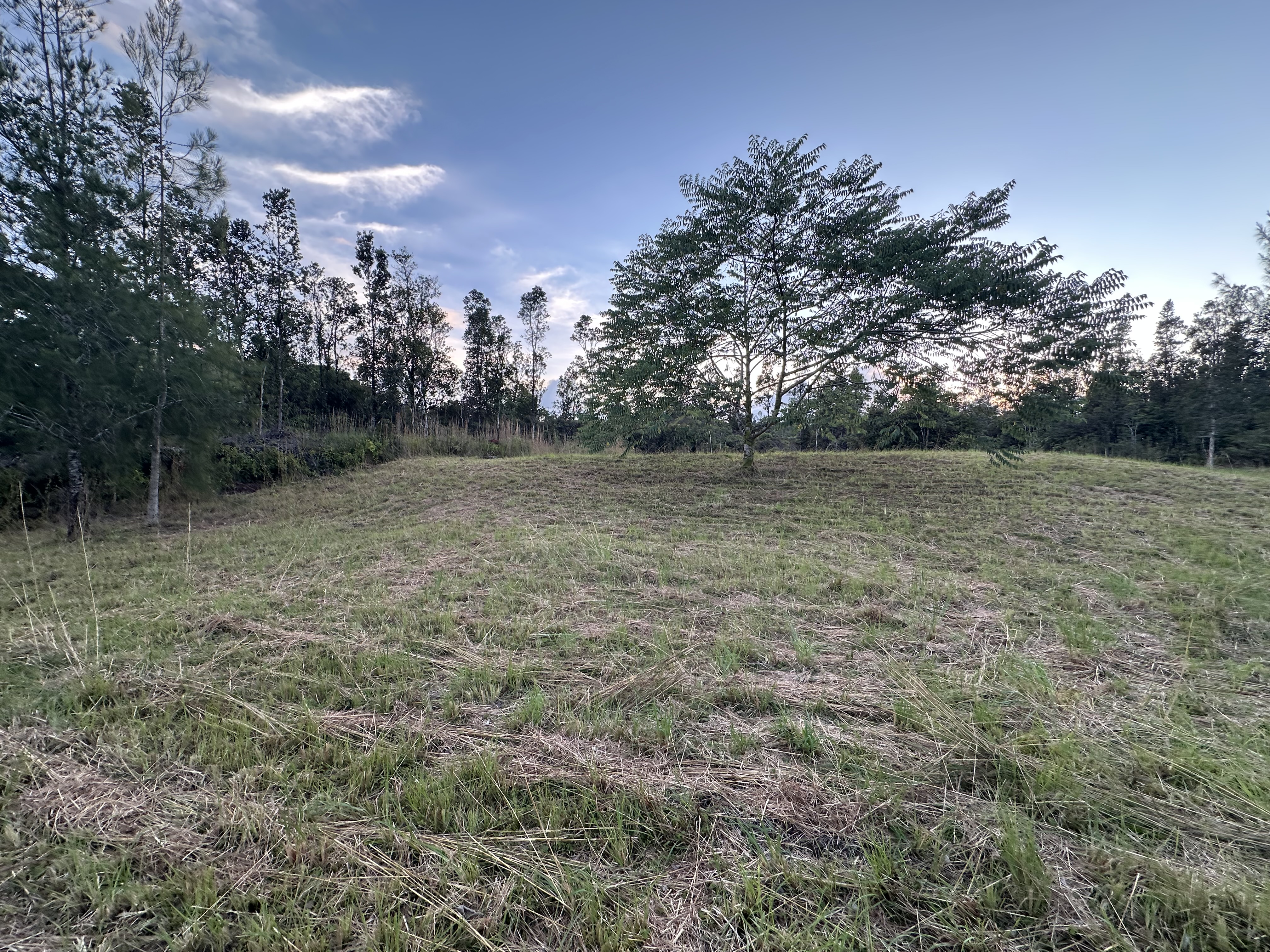 Road 2 (ao) Property Photo 18
