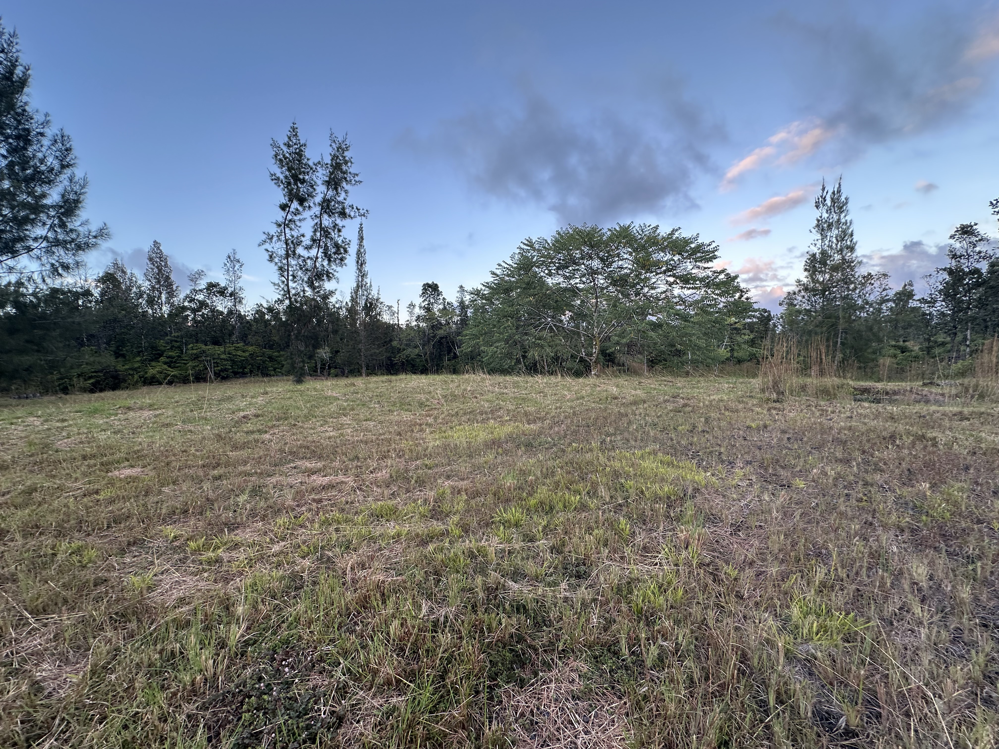 Road 2 (ao) Property Photo 19