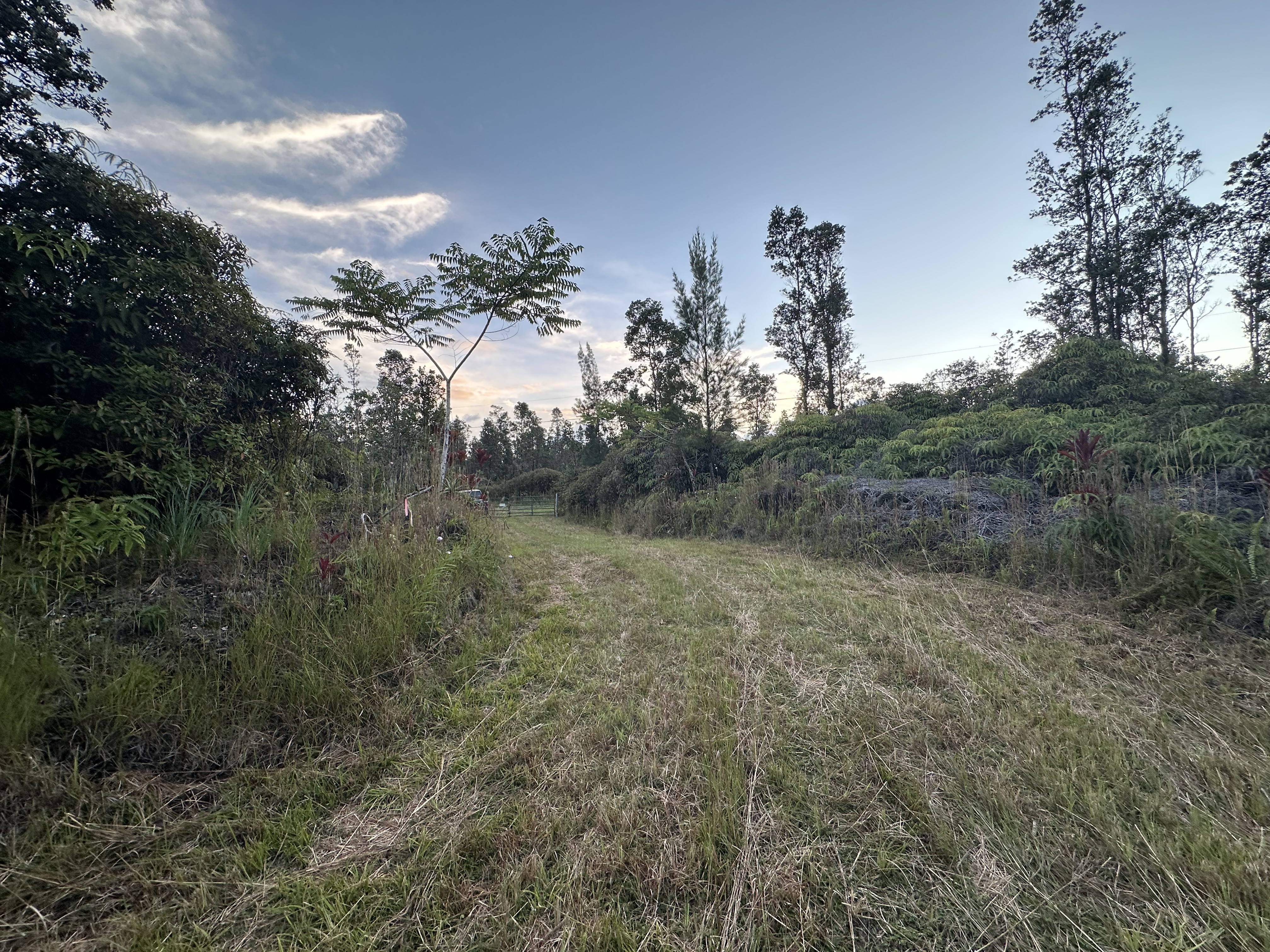 Road 2 (ao) Property Photo 22