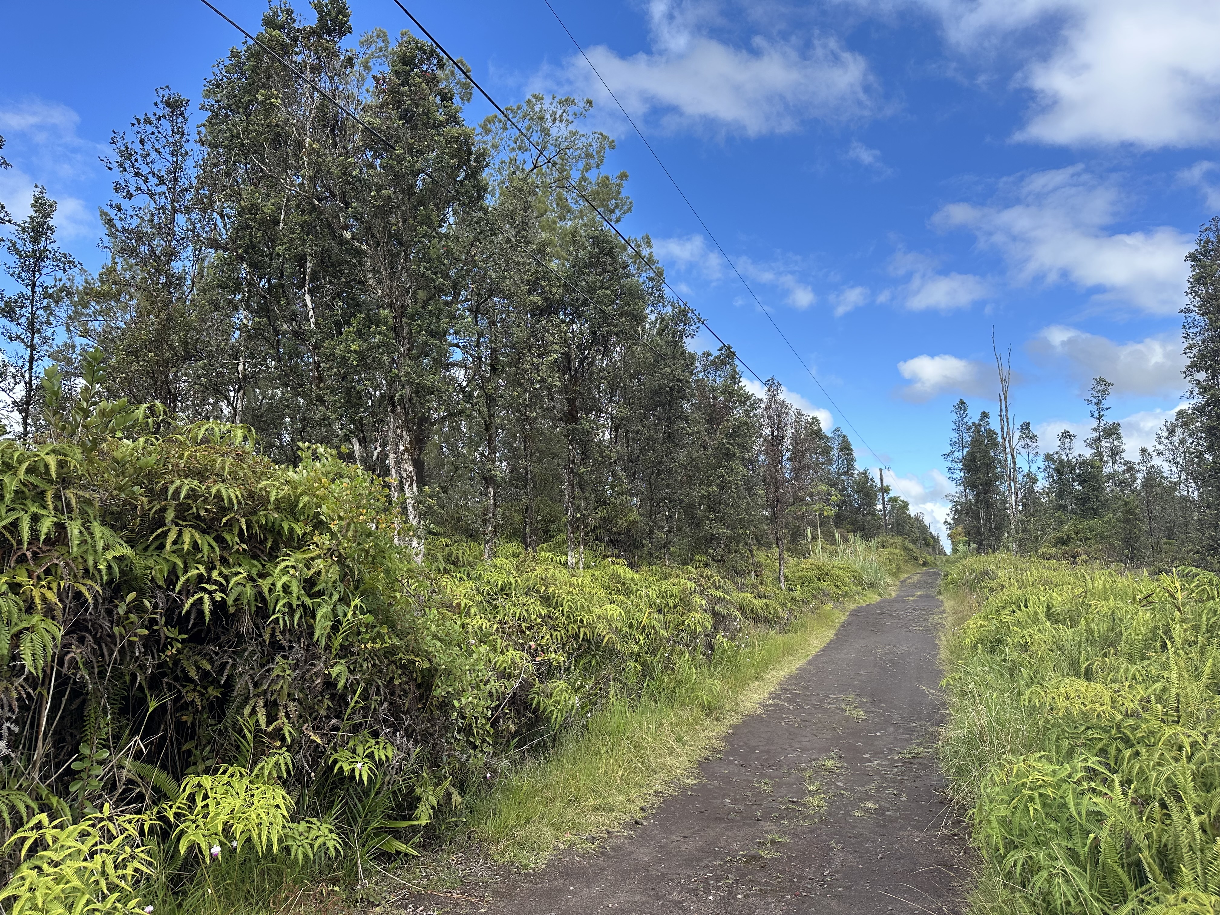 Road 2 (ao) Property Photo 1