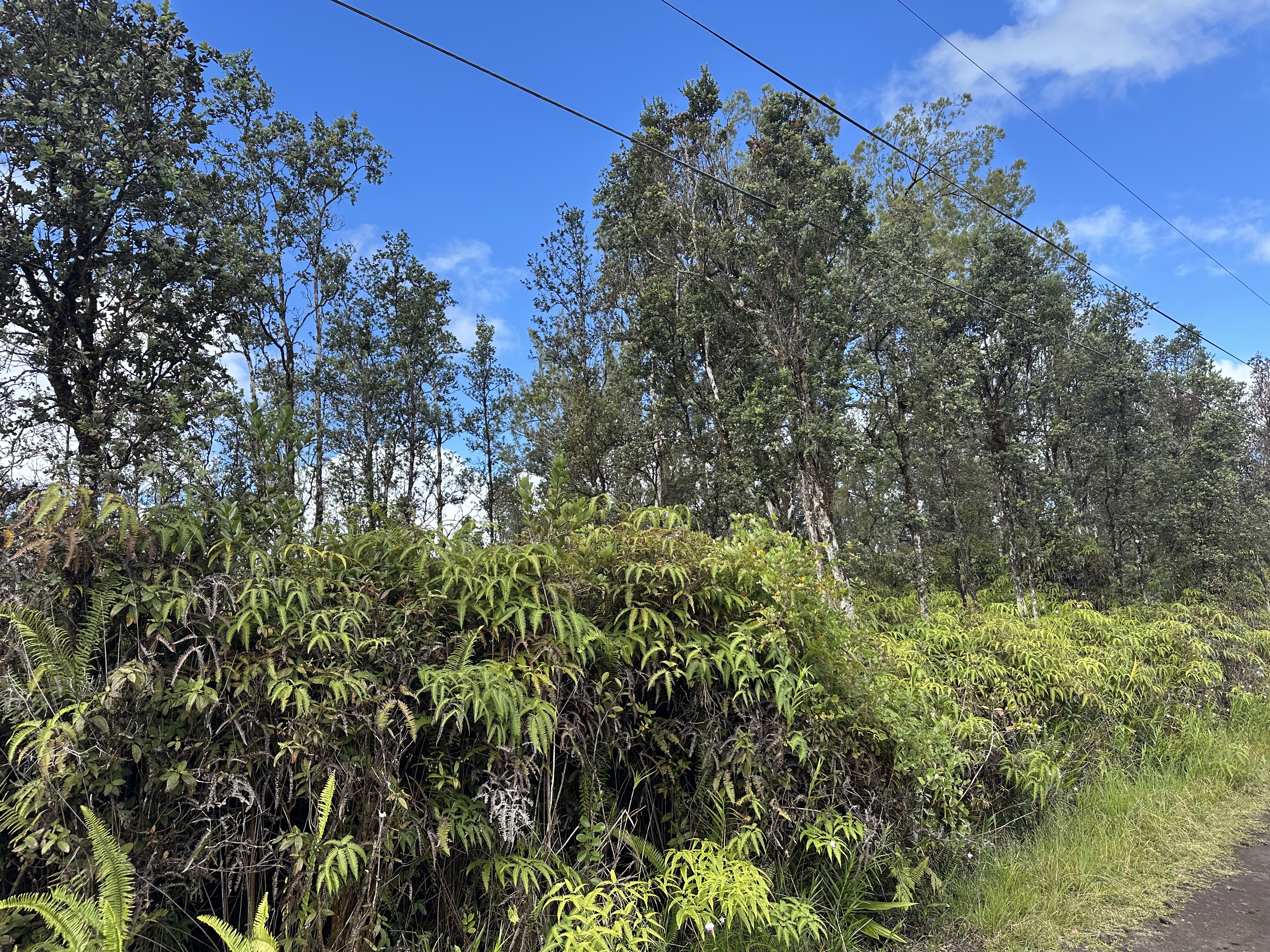 Road 2 (ao) Property Photo 4