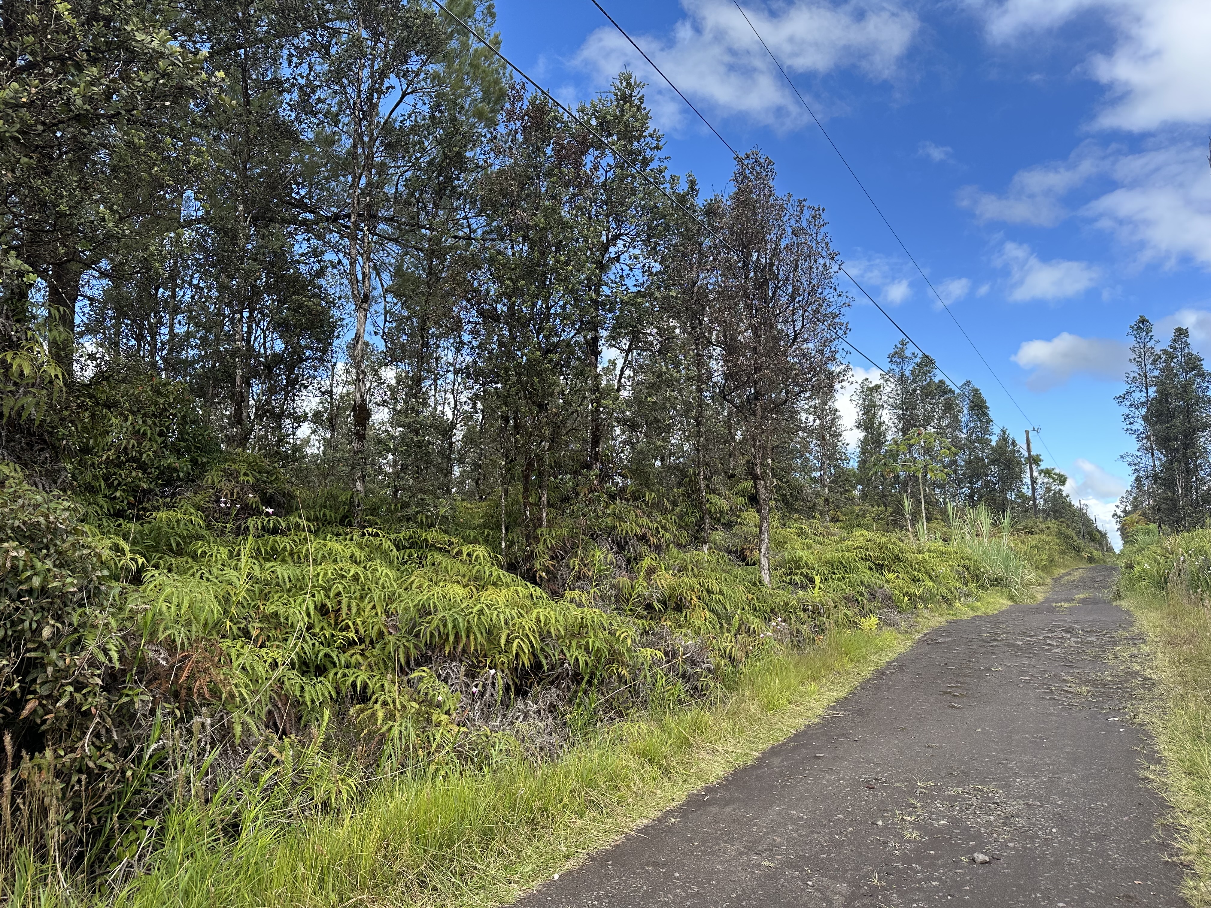 Road 2 (ao) Property Photo 5