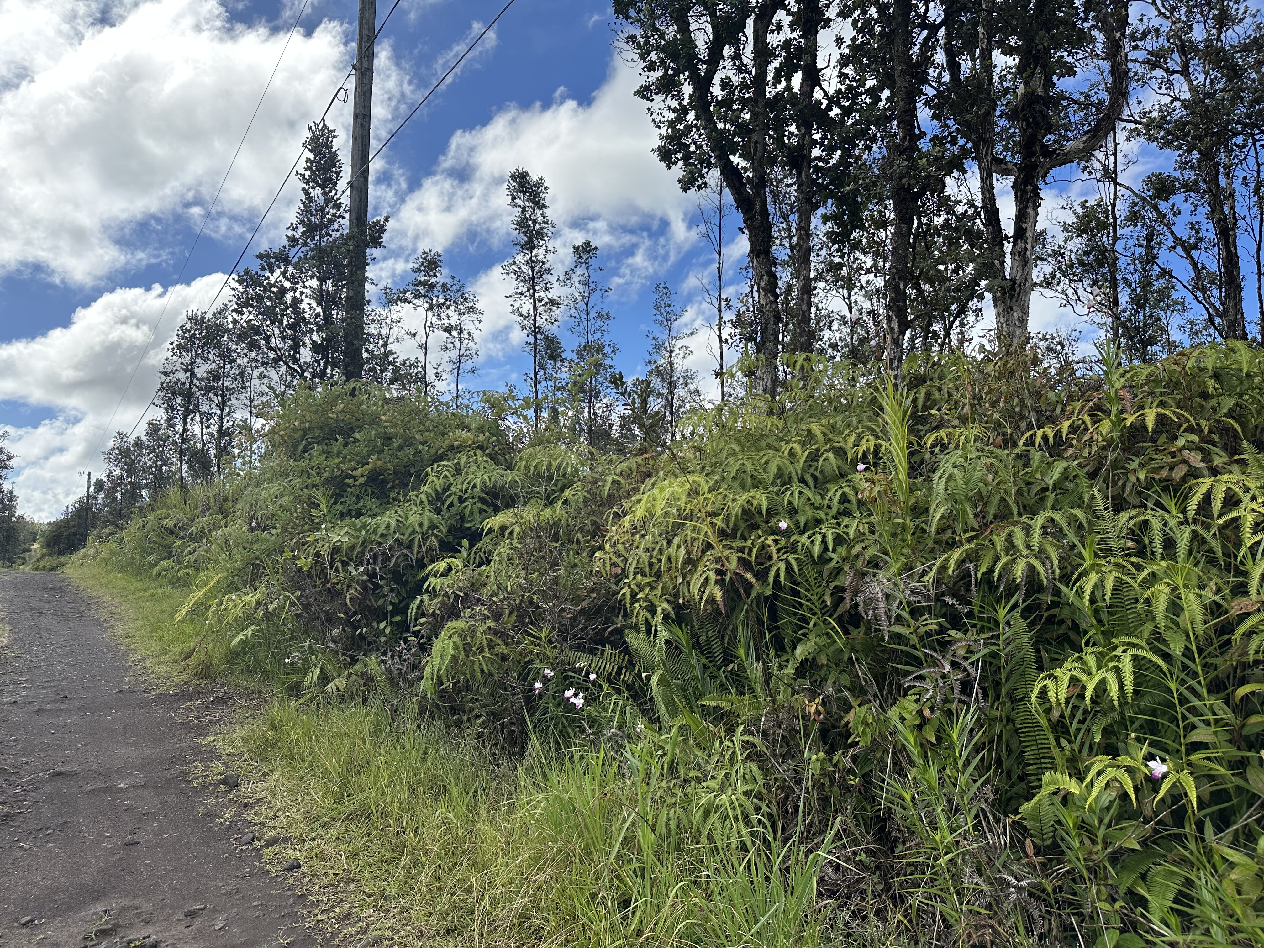 Road 2 (ao) Property Photo 6