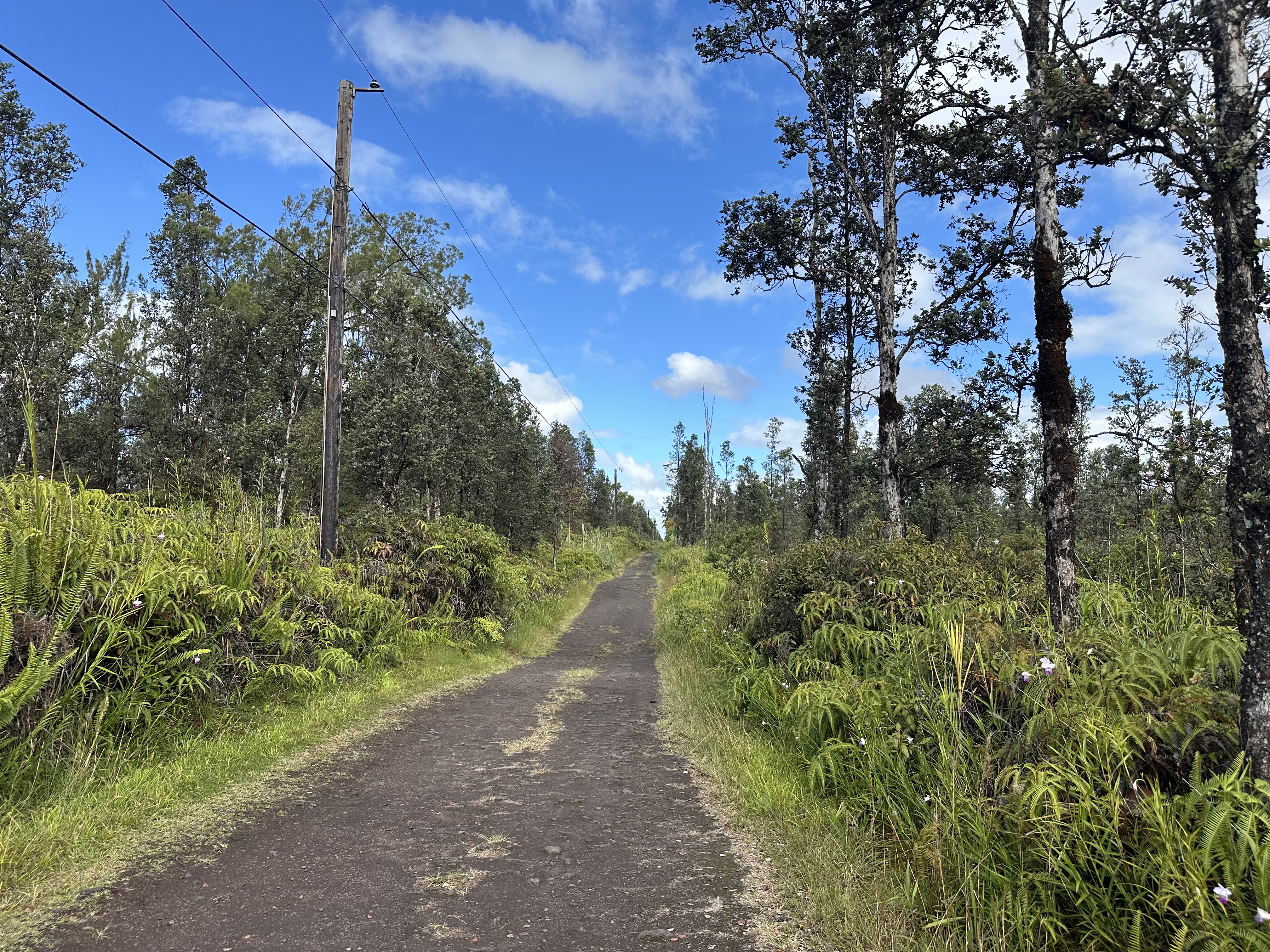 Road 2 (ao) Property Photo 7