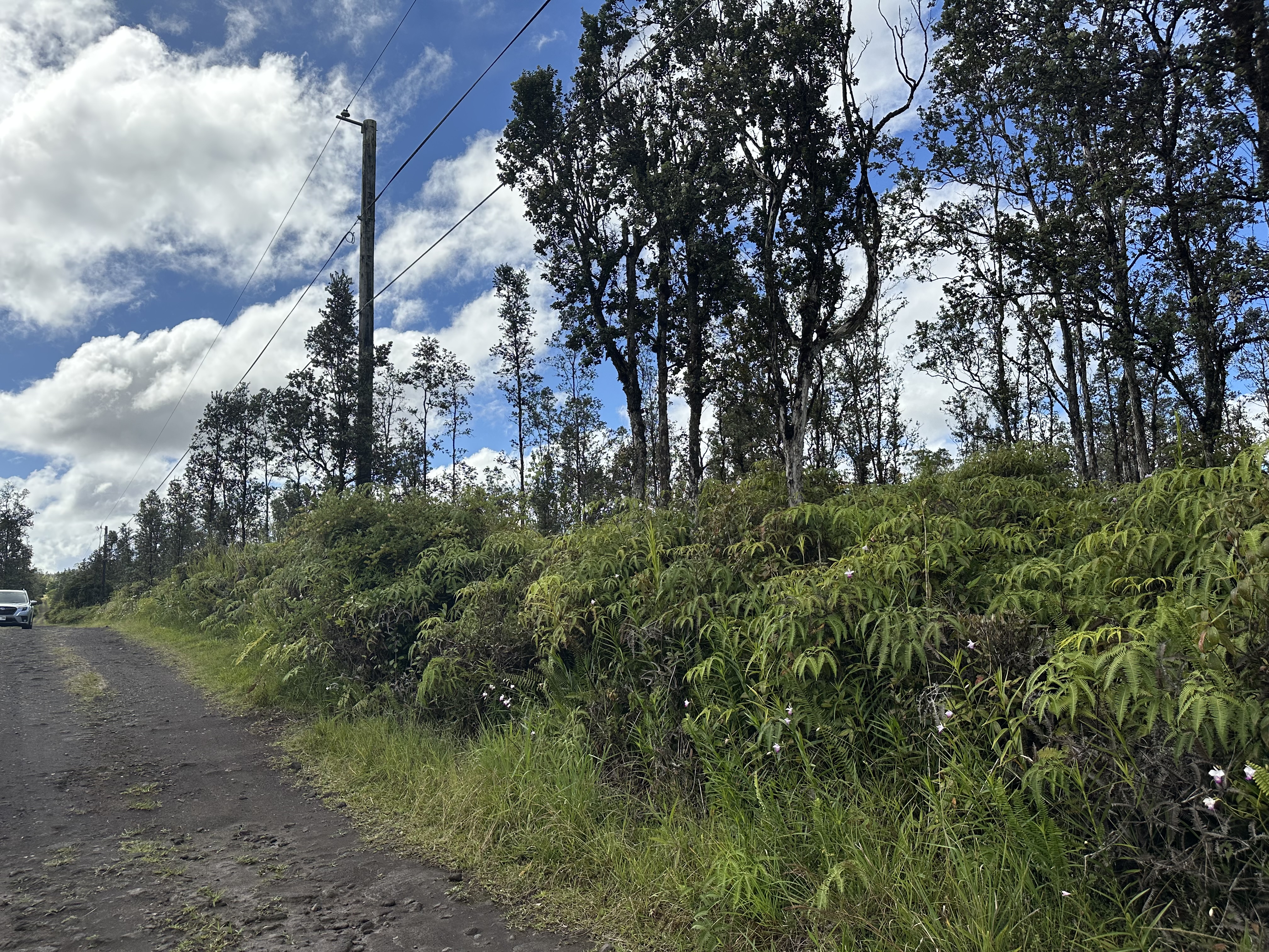 Road 2 (ao) Property Photo 8