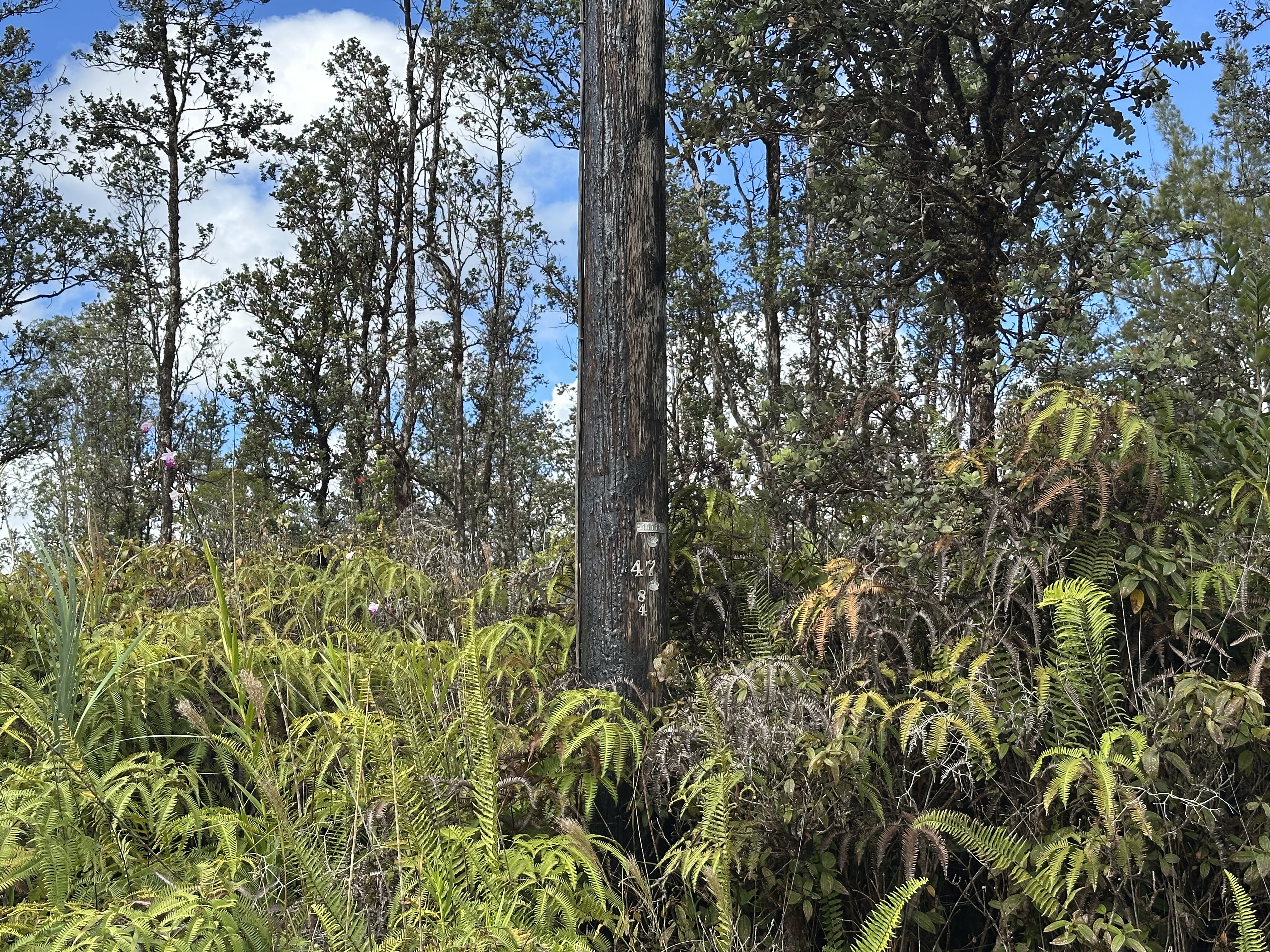 Road 2 (ao) Property Photo 9