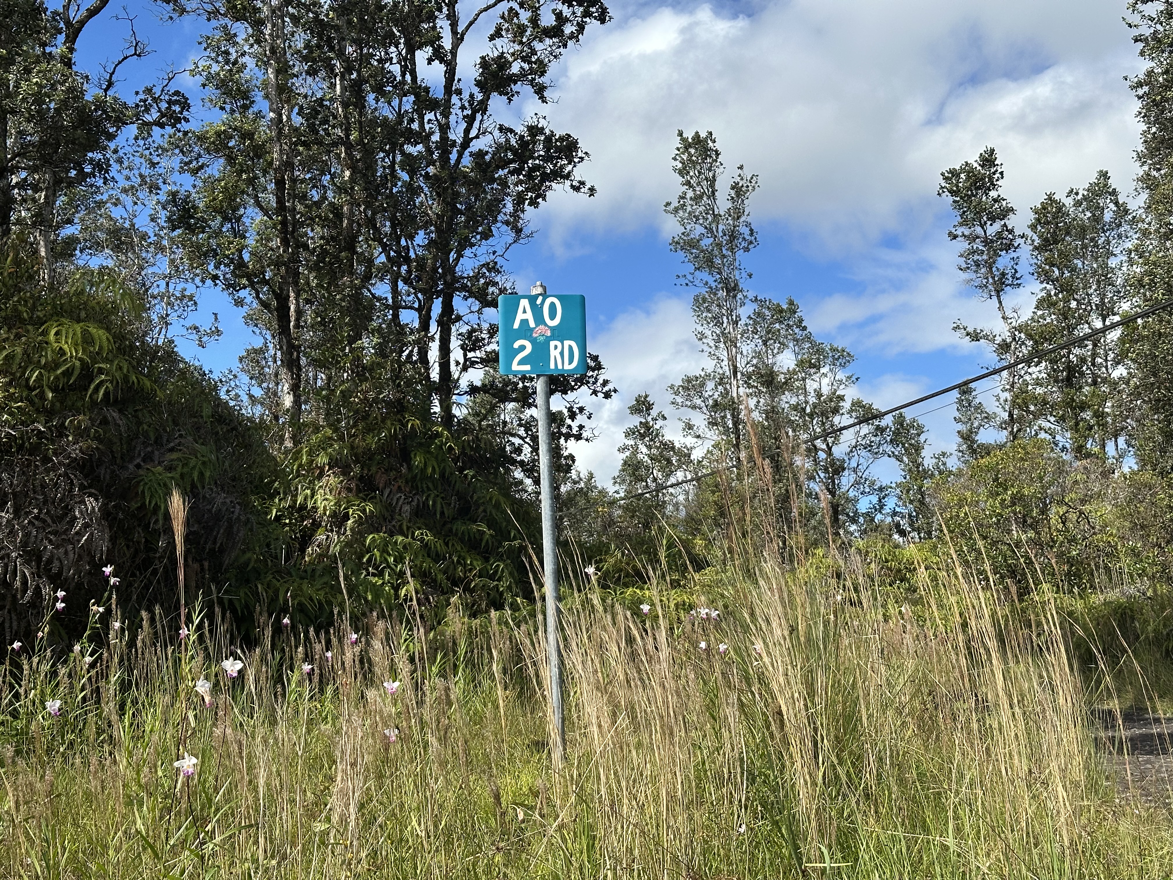 Road 2 (ao) Property Photo 10