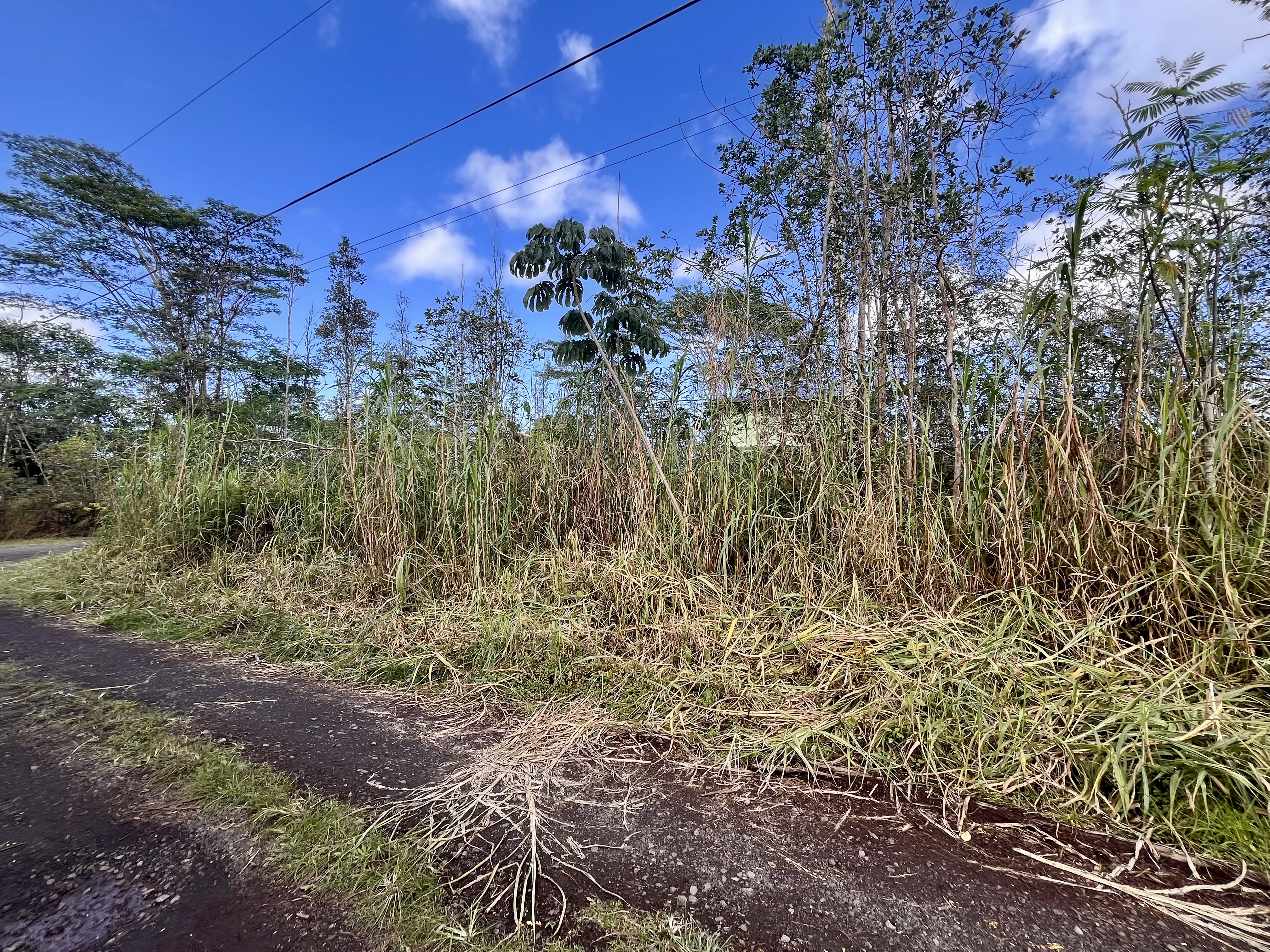 King Kamehameha Blvd Property Photo 3