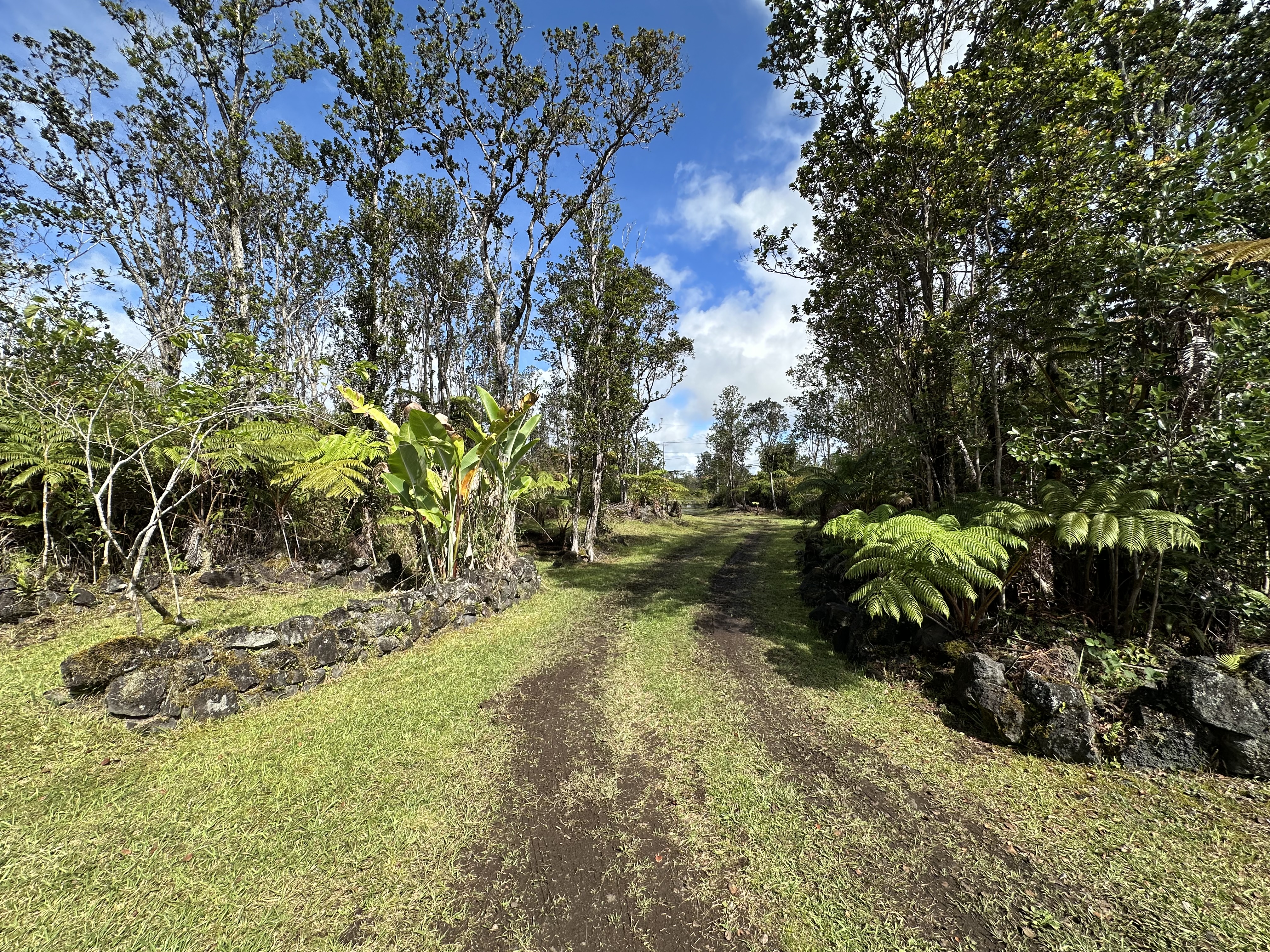 11-3003 Kahaualea Rd Property Photo 23