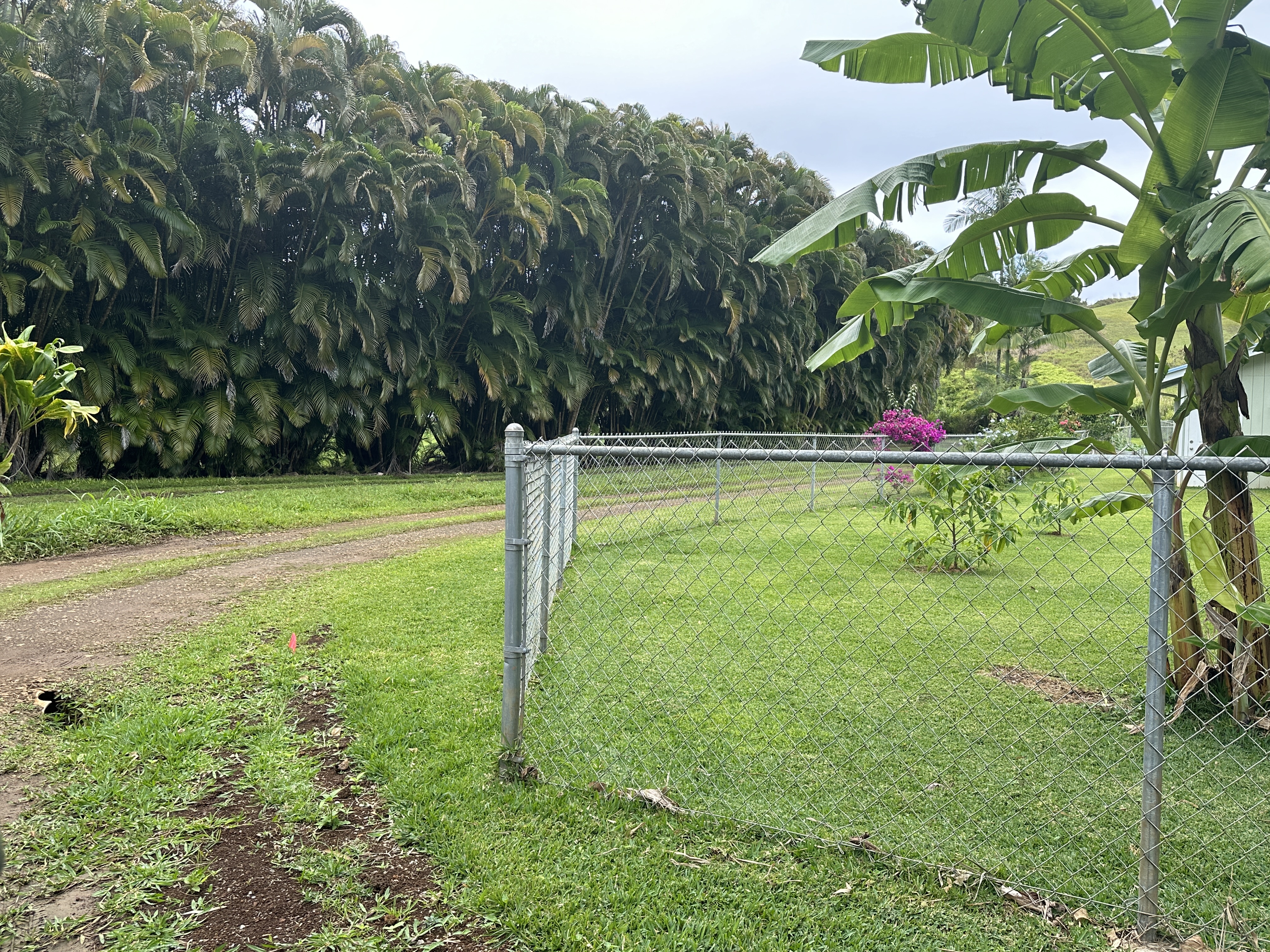 Kipapa Rd 1 Property Photo 15