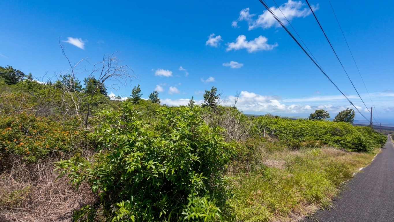 Catamaran Ln Property Photo 3