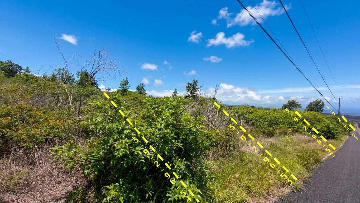 Catamaran Ln Property Photo 4