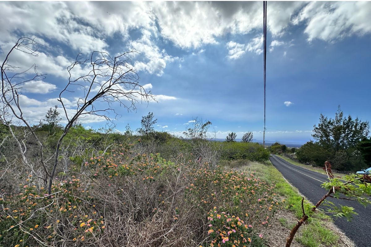 Catamaran Ln Property Photo 11