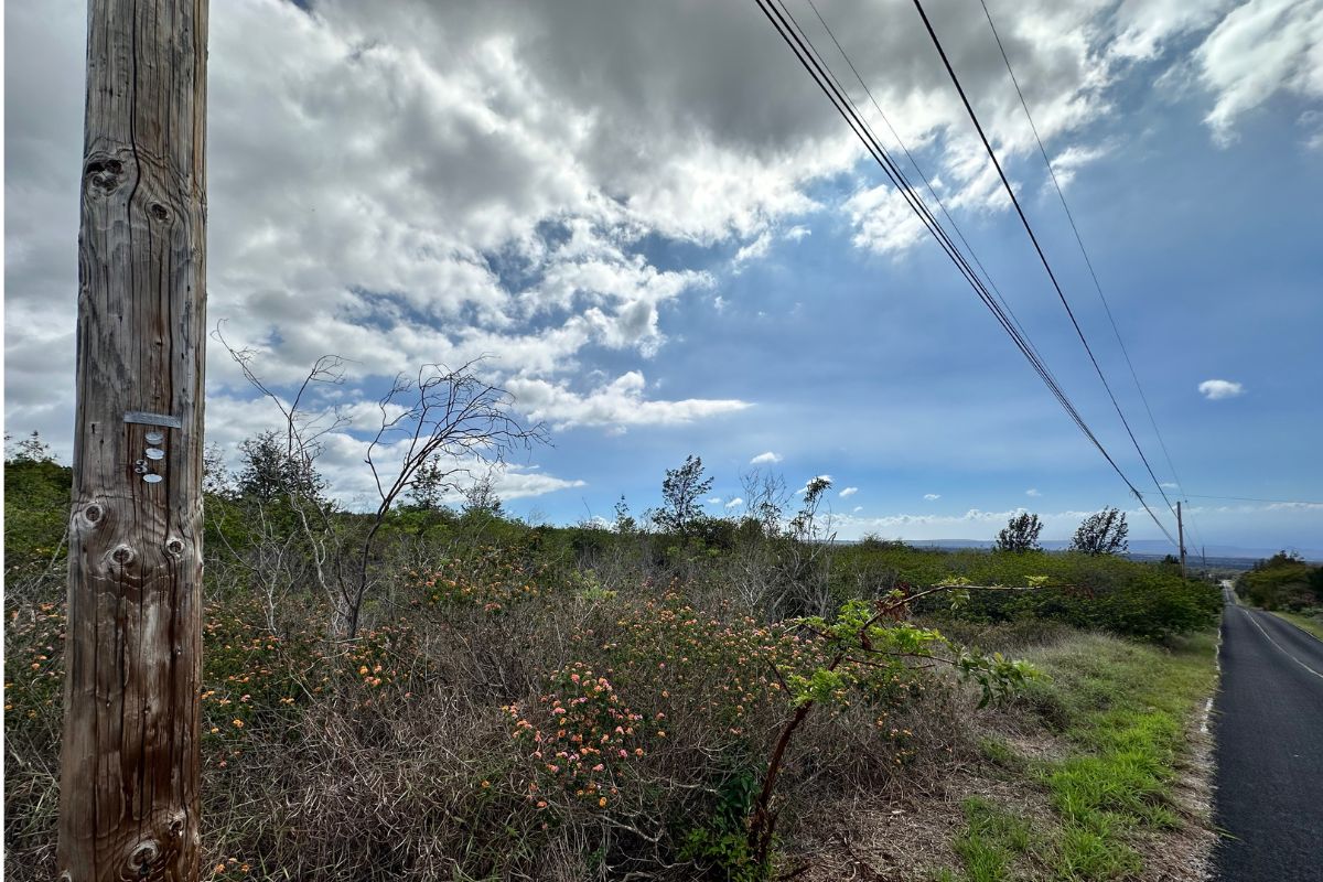 Catamaran Ln Property Photo 12
