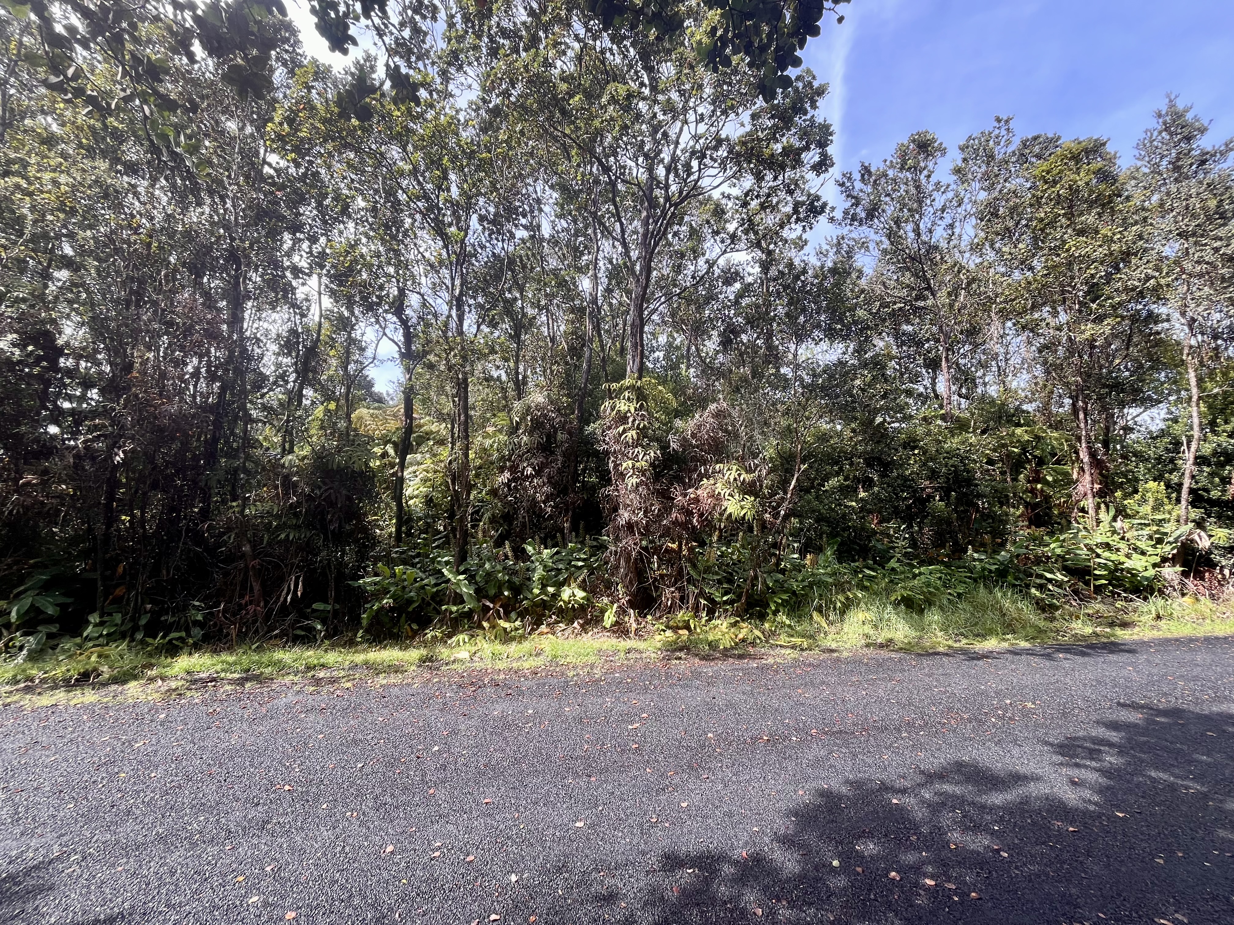 Kekoanui St Property Photo 3