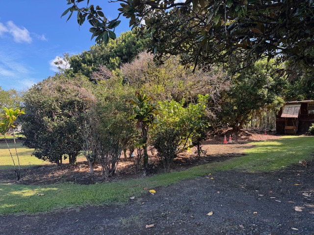 2501 Kilauea Ave Property Photo 1