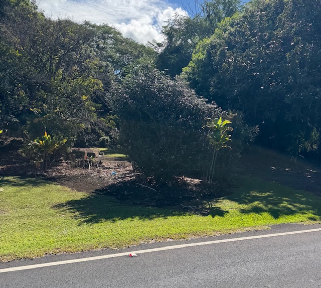 2501 Kilauea Ave Property Photo 2