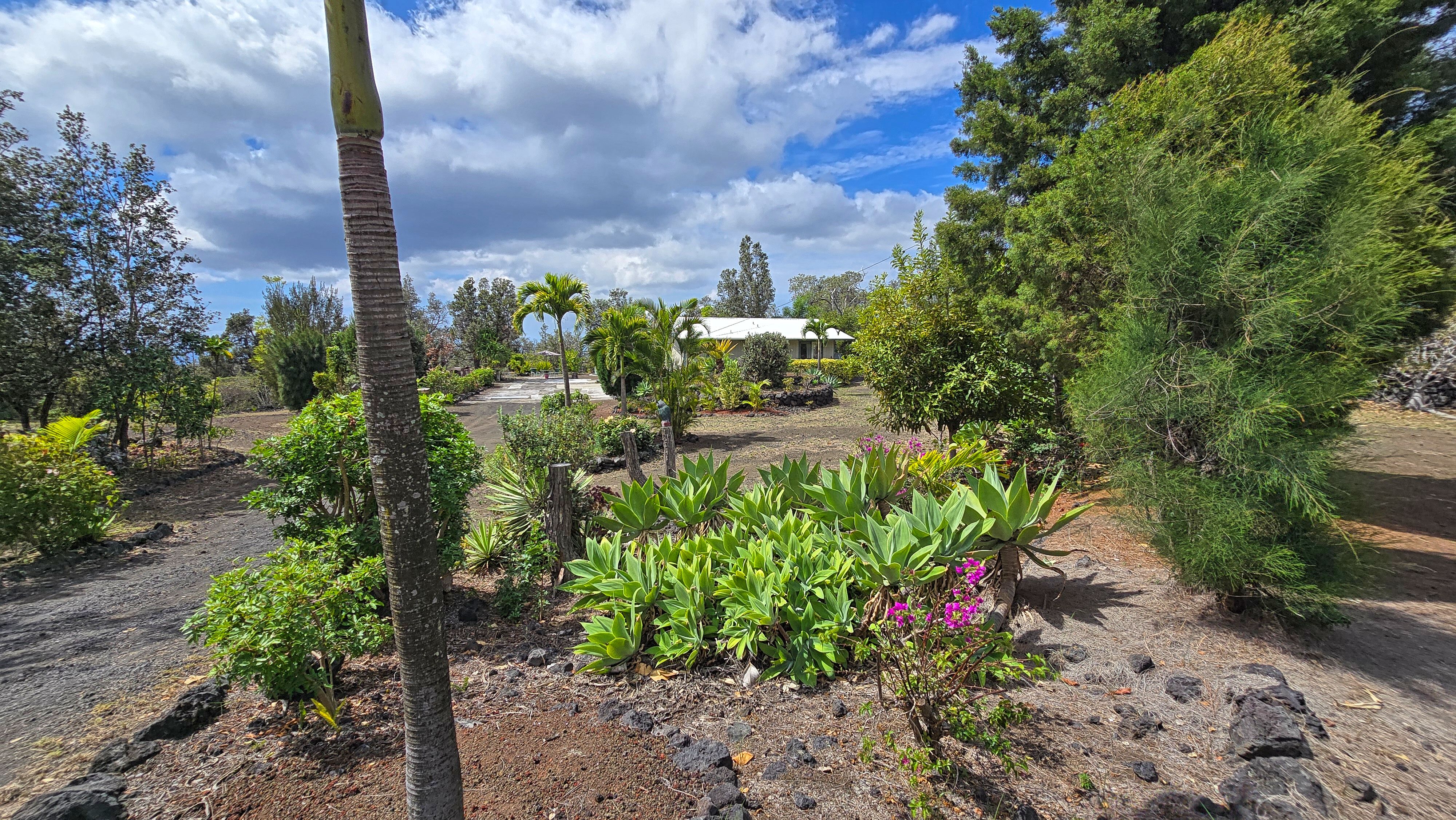 92-8689 Lehua Ln Property Photo 22