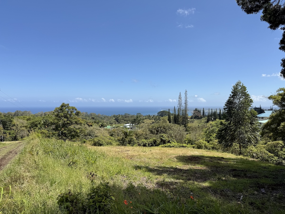 1951 Kaiwiki Rd Property Photo 1
