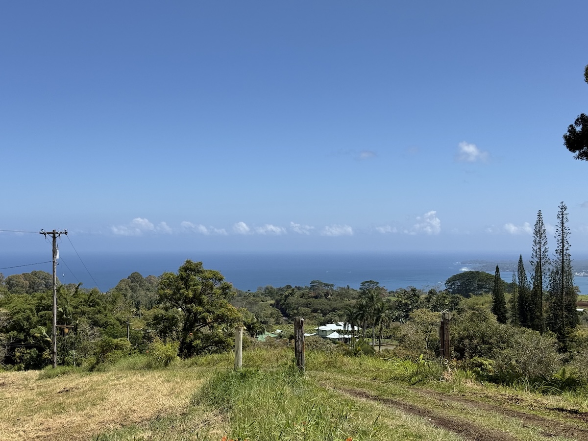 1951 Kaiwiki Rd Property Photo 8