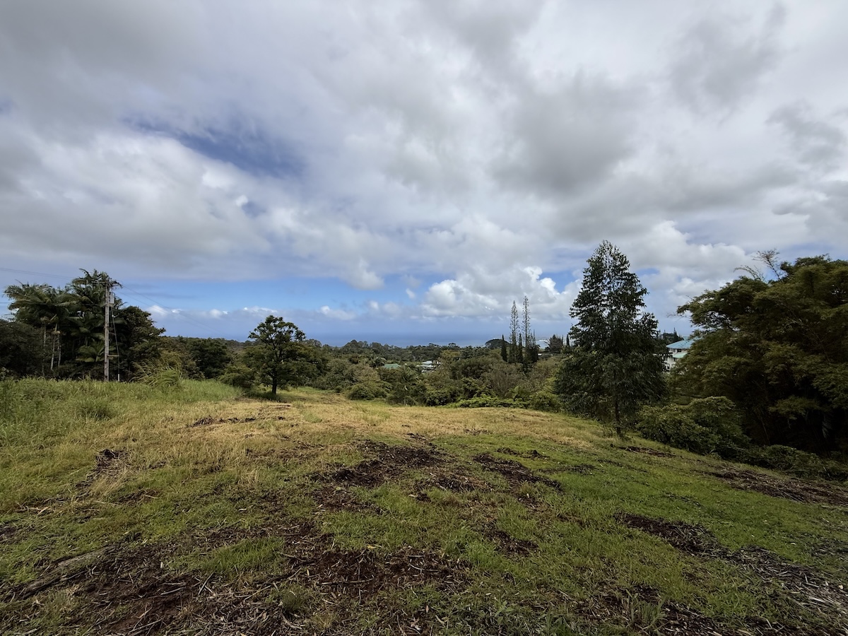 1951 Kaiwiki Rd Property Photo 9